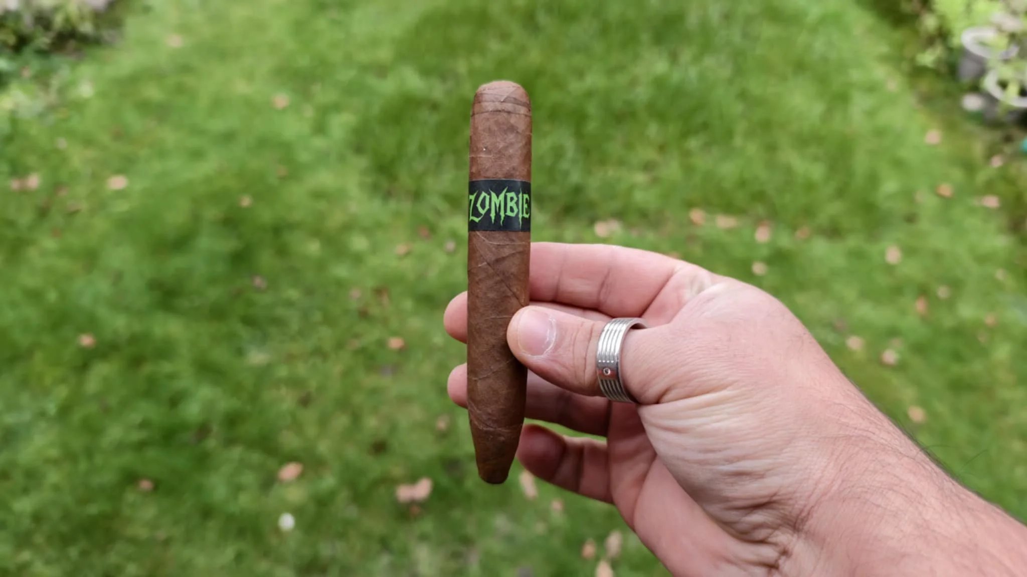 Viaje Zombie Green
