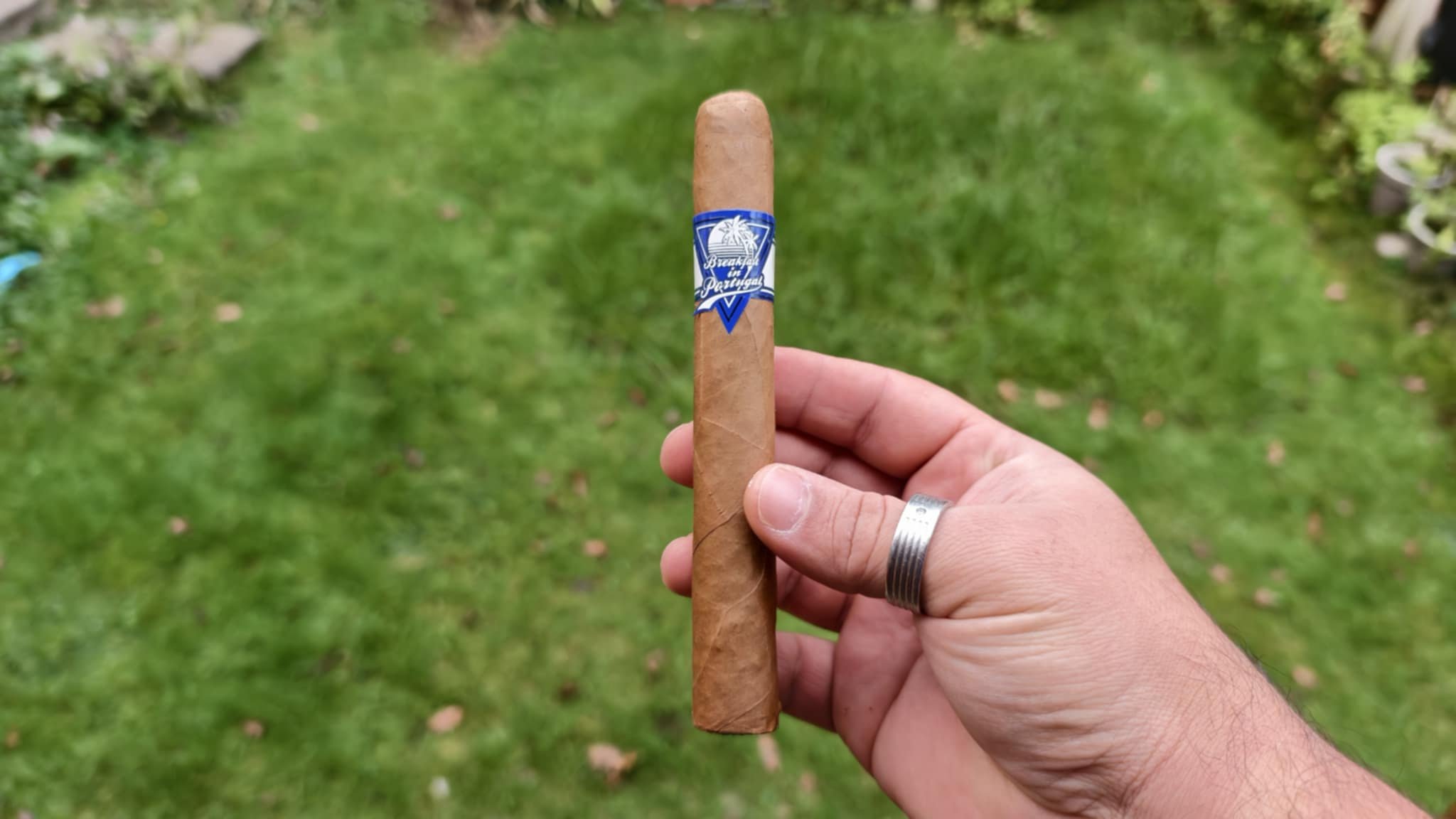 Room 101 Breakfast in Portugal Toro