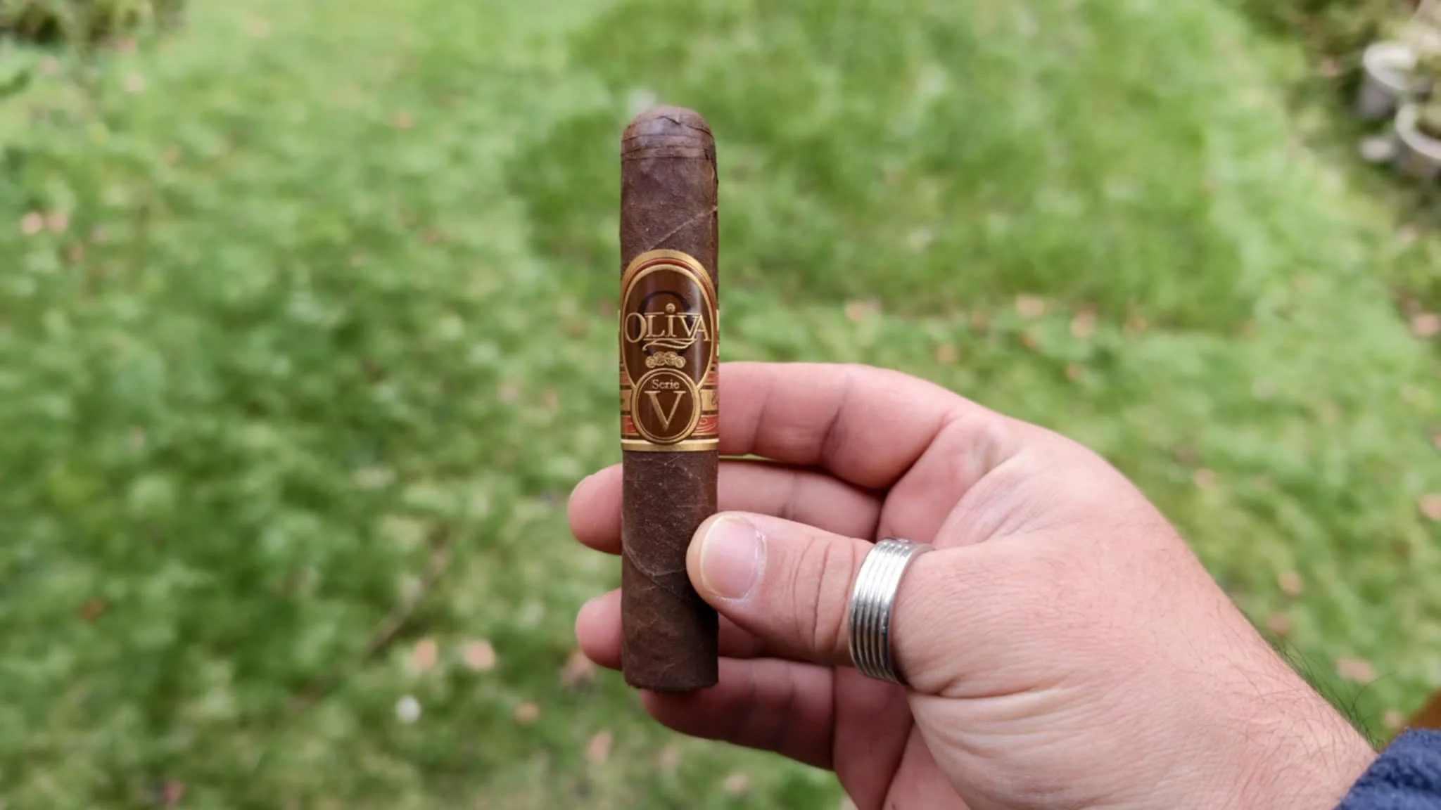 Oliva Serie V Edición Europa 2010