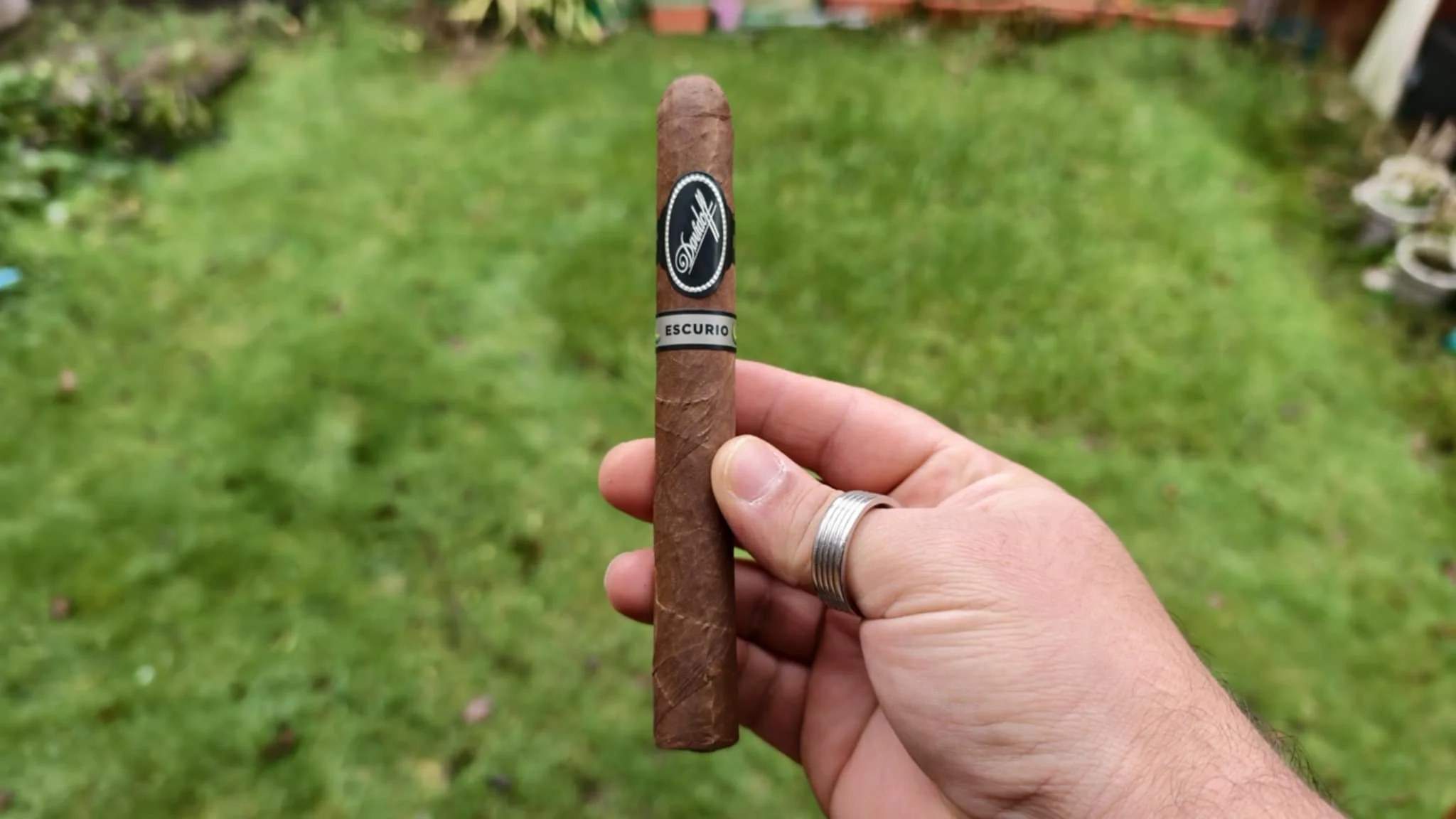 Davidoff Escurio Corona Gorda