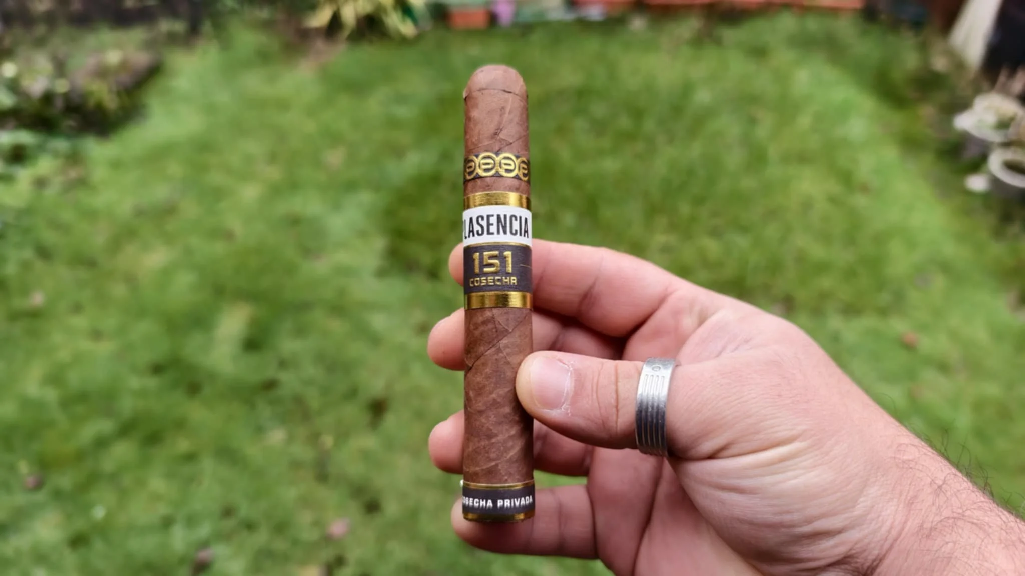 Plasencia Cosecha 151 La Musica