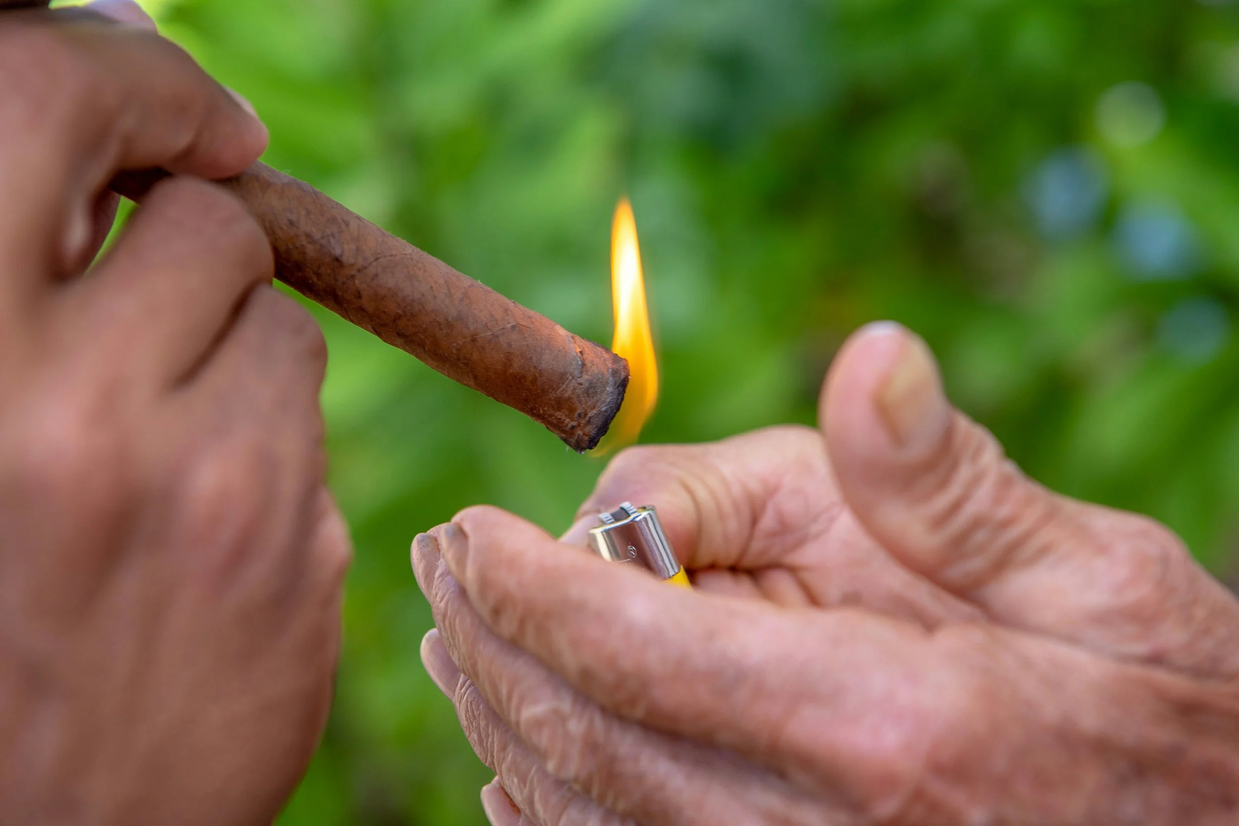 From Flame to Flavor: What Happens Inside a Burning Cigar
