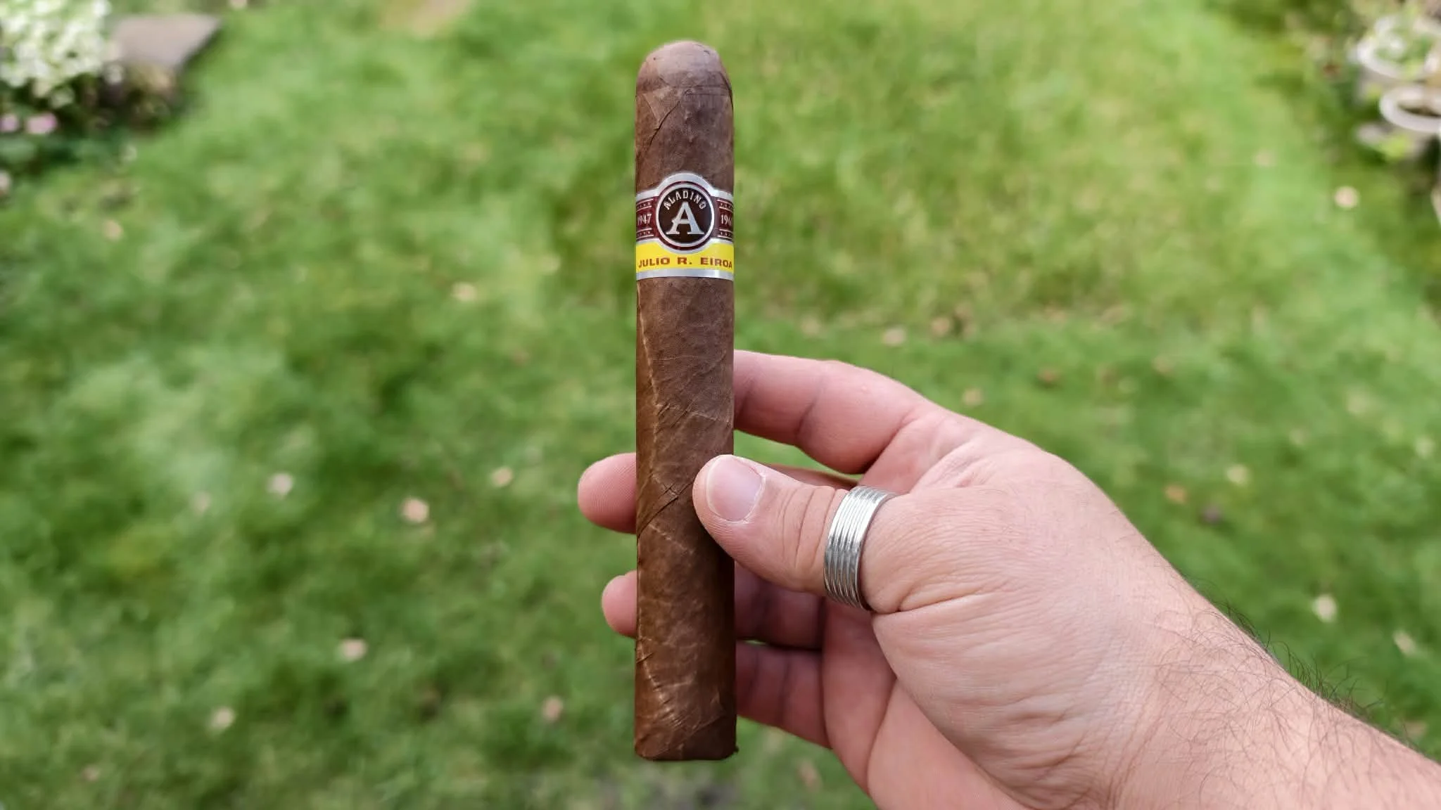 Aladino Corojo Gordo