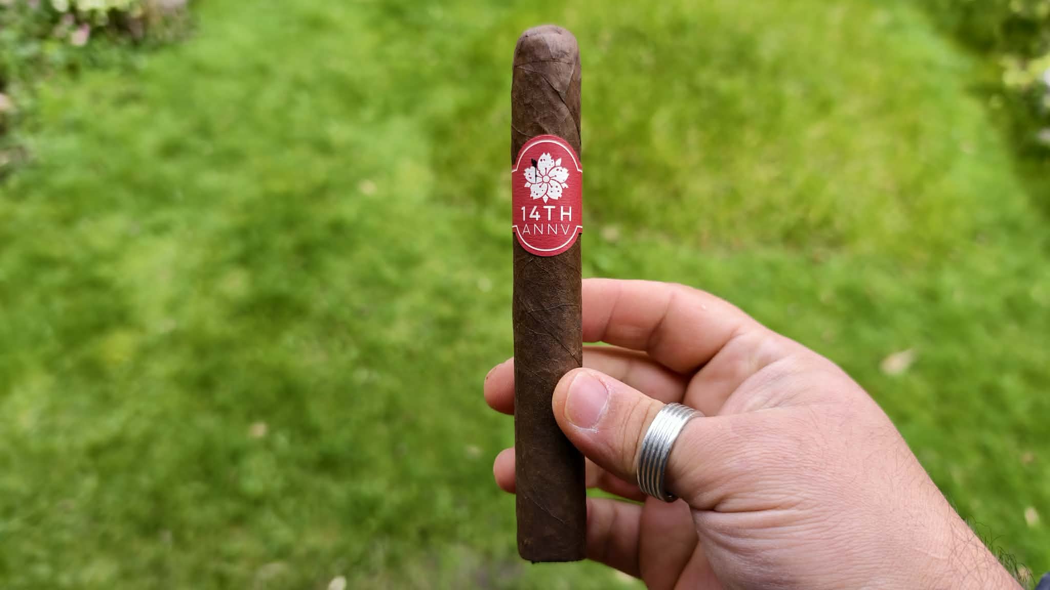 Room 101 14th Anniversary