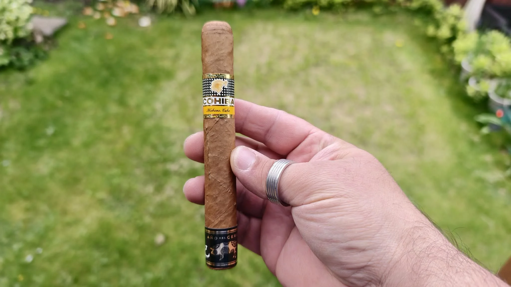 Cohiba Siglo IV Year Of The Pig