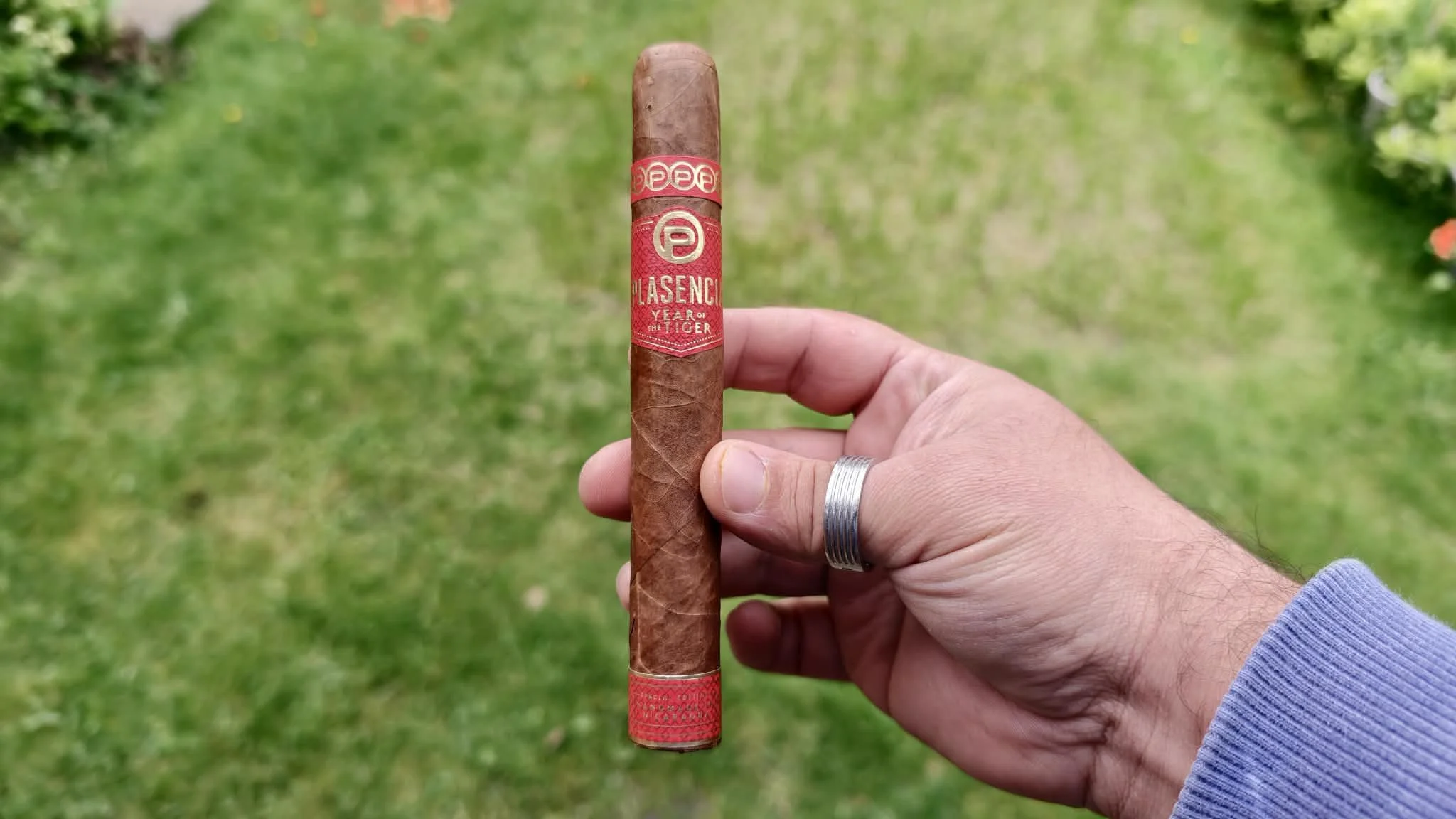 Plasencia Year of the Tiger