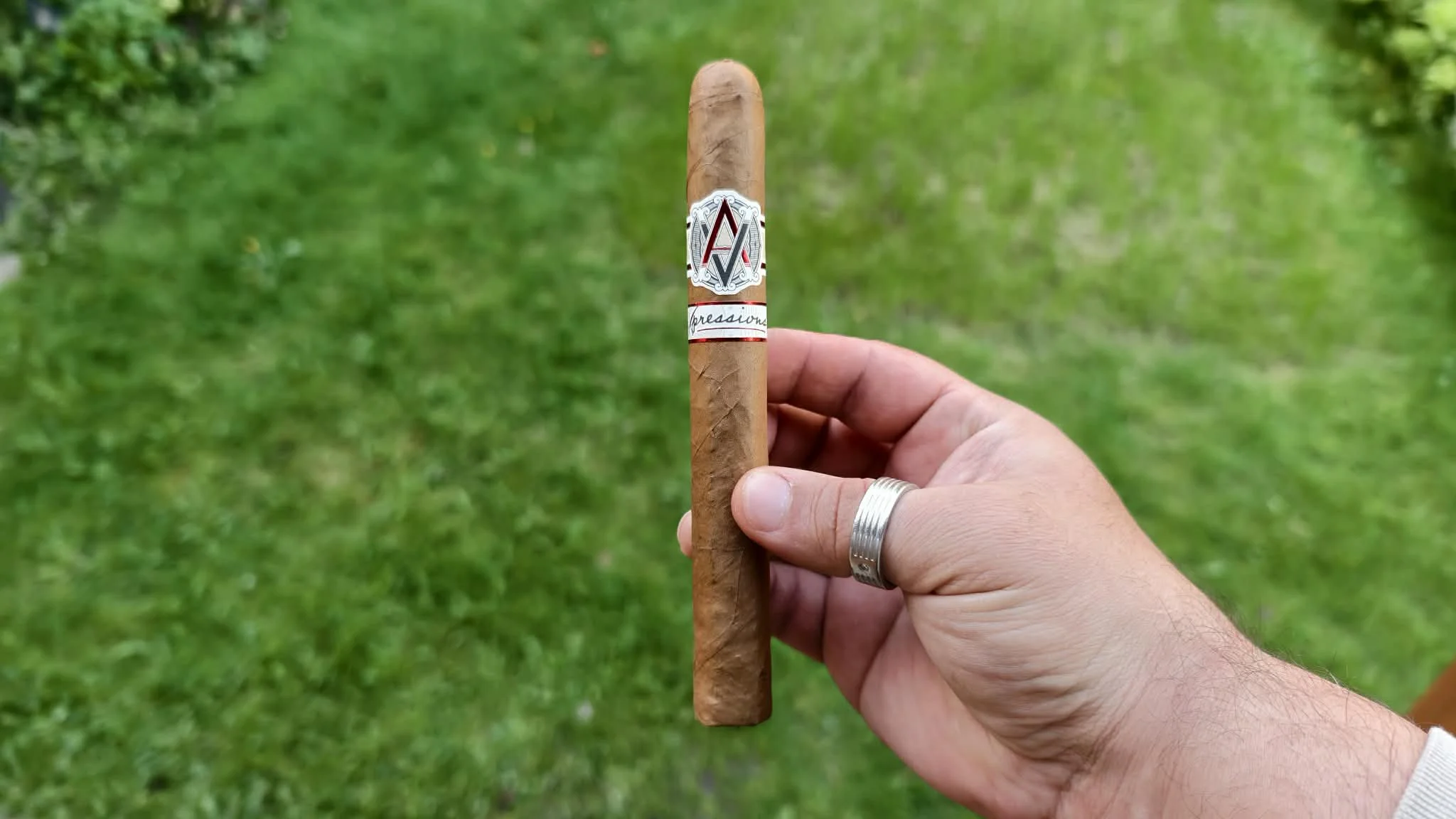 AVO Expressions Limited Edition 2024