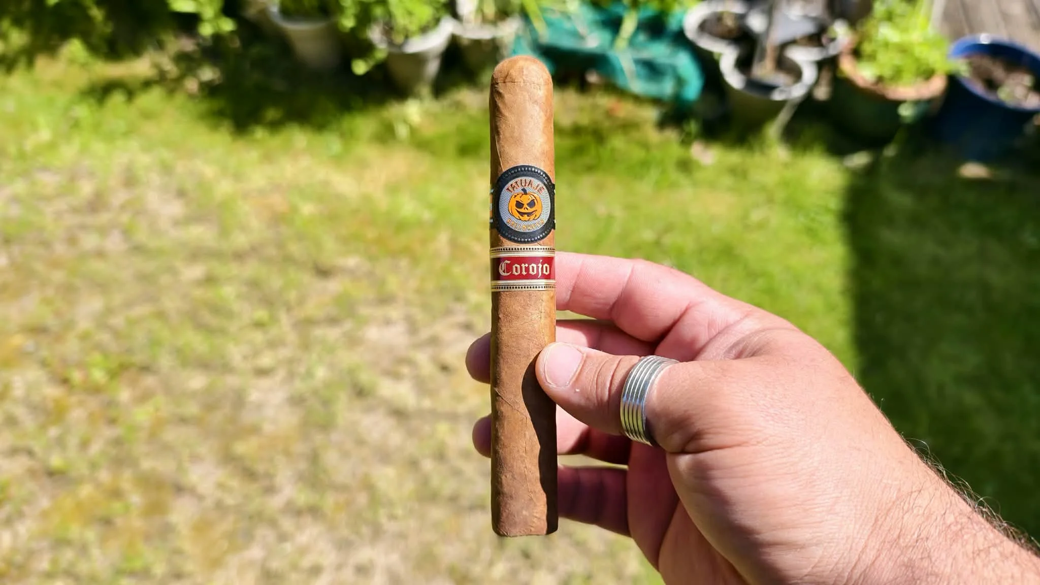 Tatuaje Smashed Pumpkin Corojo Toro