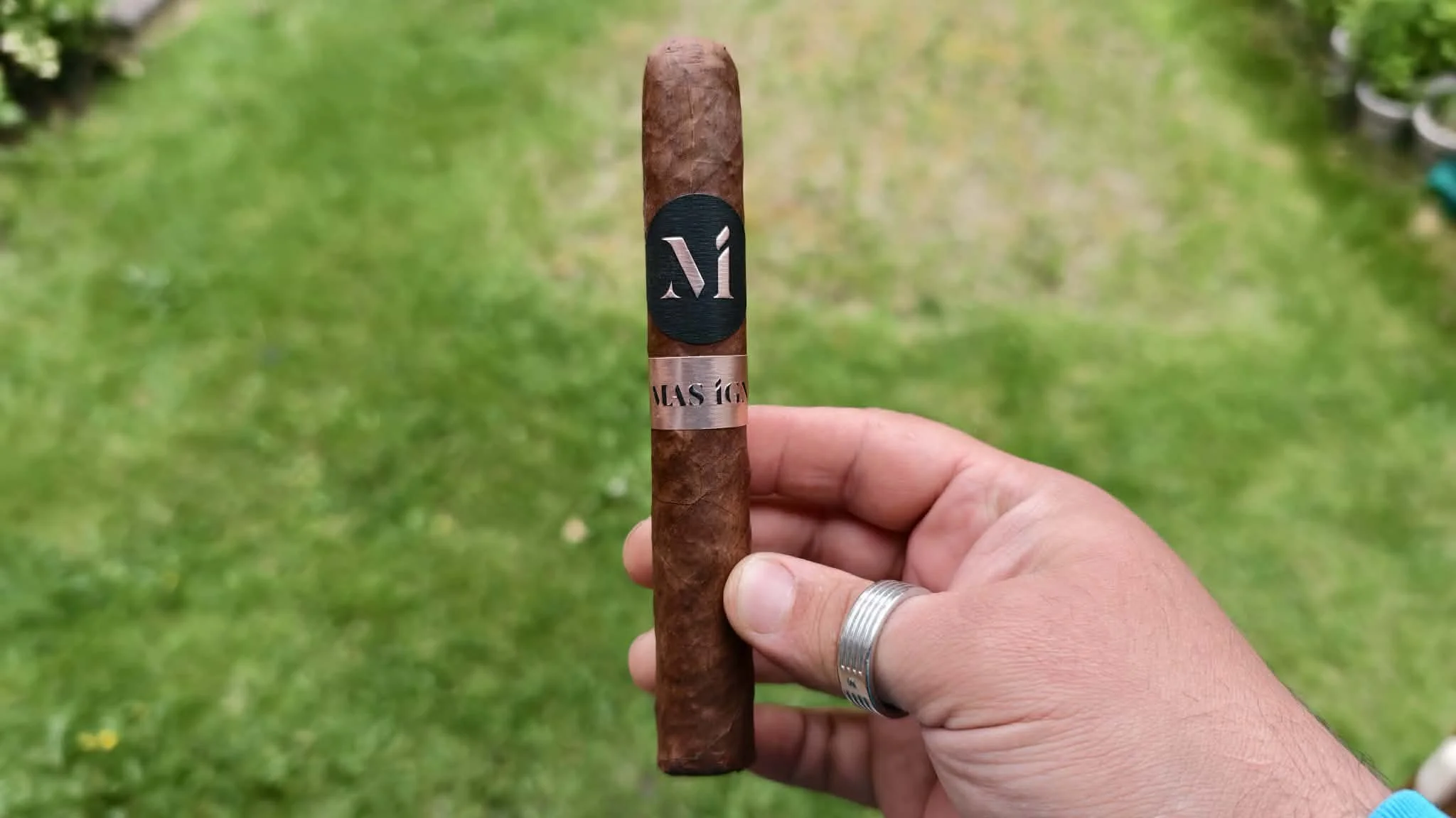 Mas Igneus Toro
