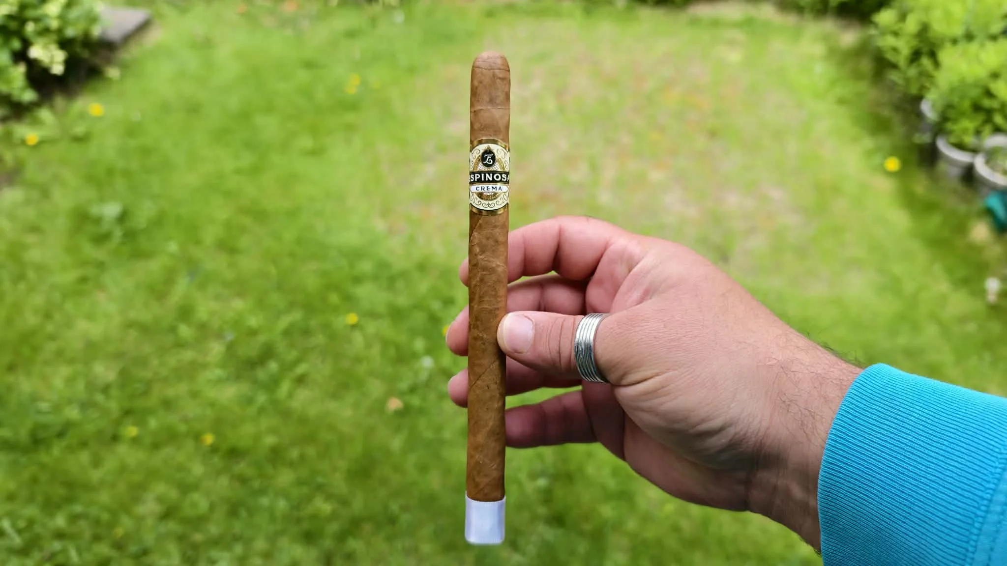 Espinosa Crema Lancero