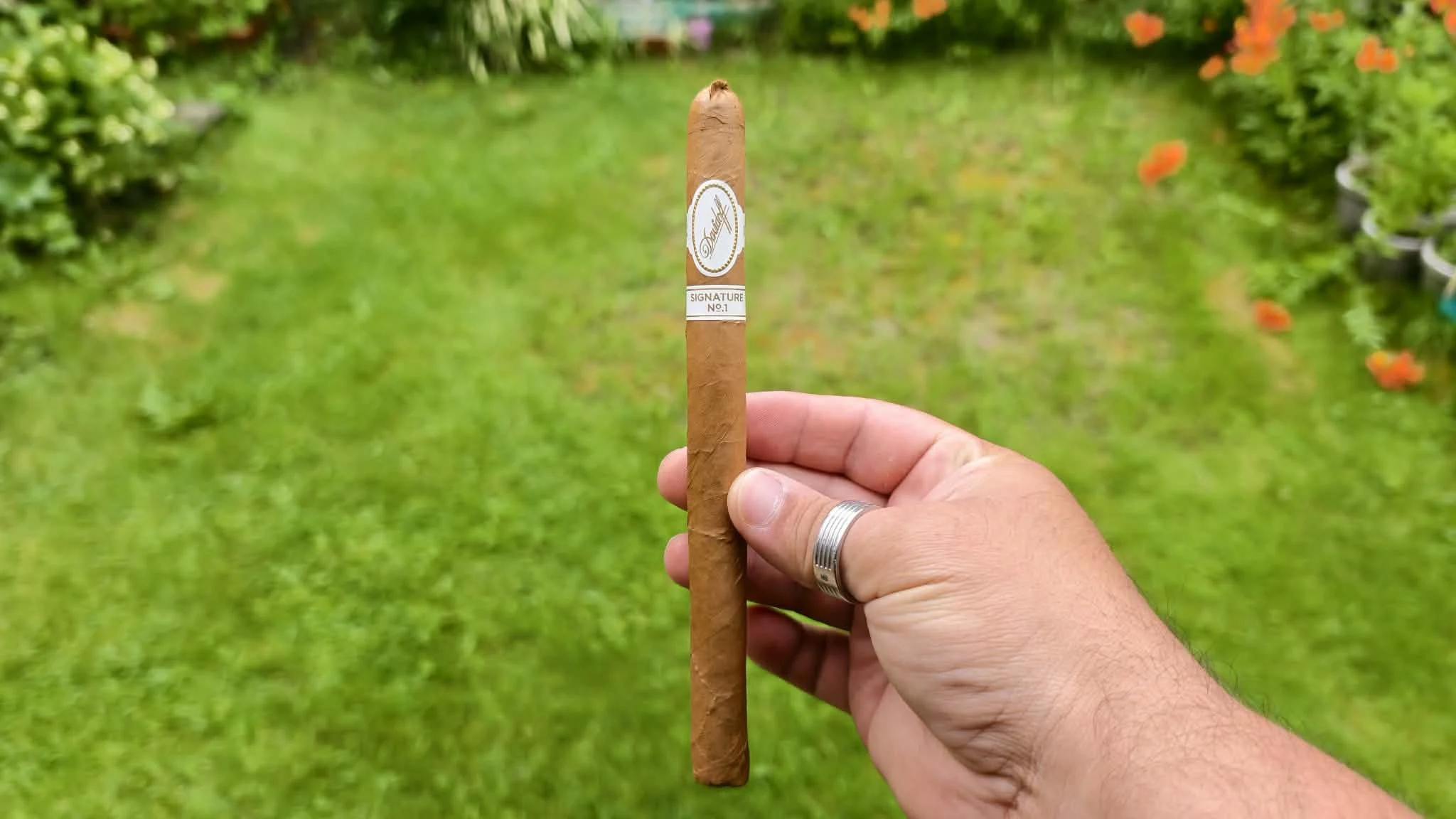 Davidoff Signature No. 1 Limited Edition