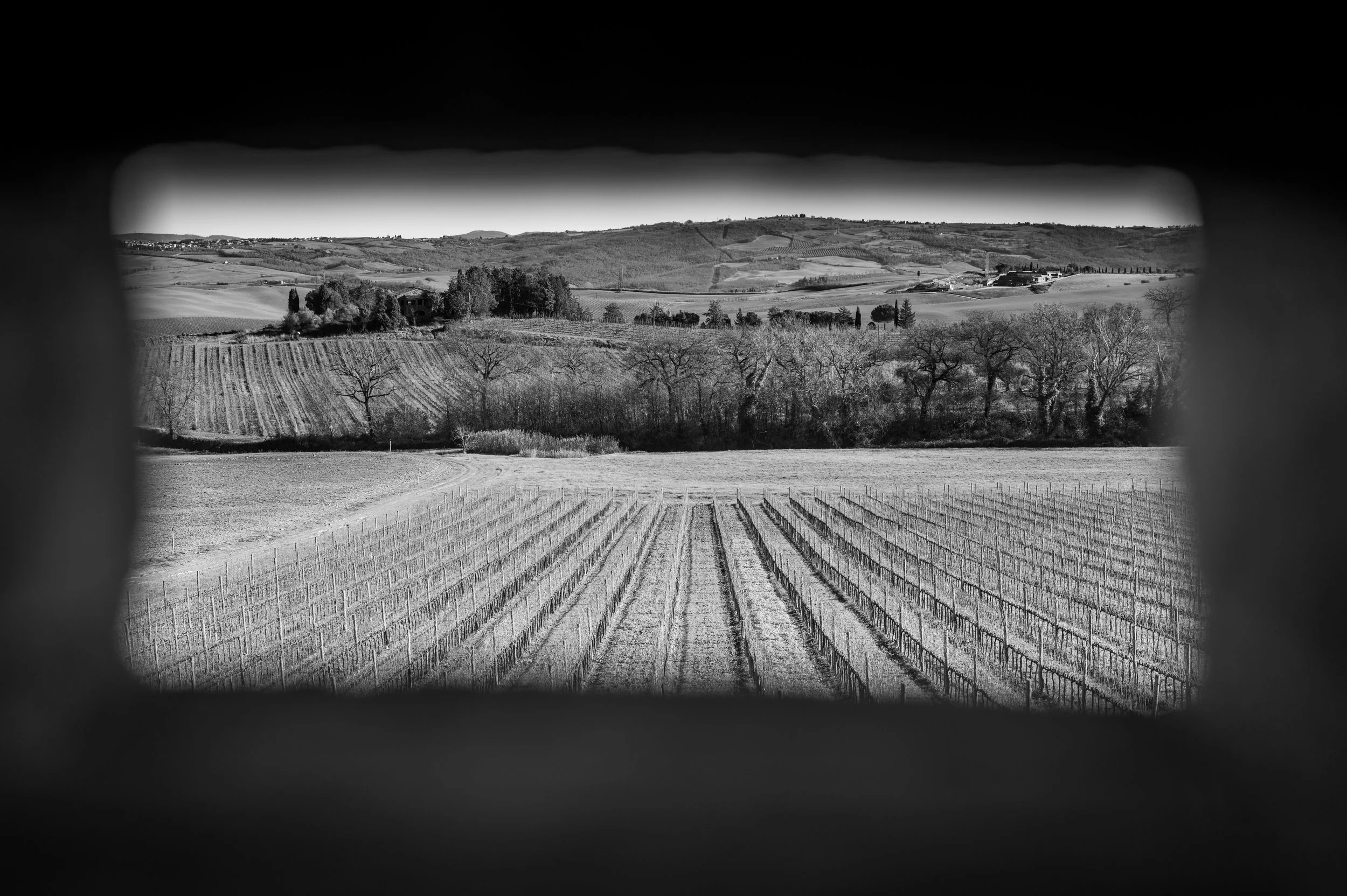 Terroir: The Invisible Ingredient Behind Every Great Cigar
