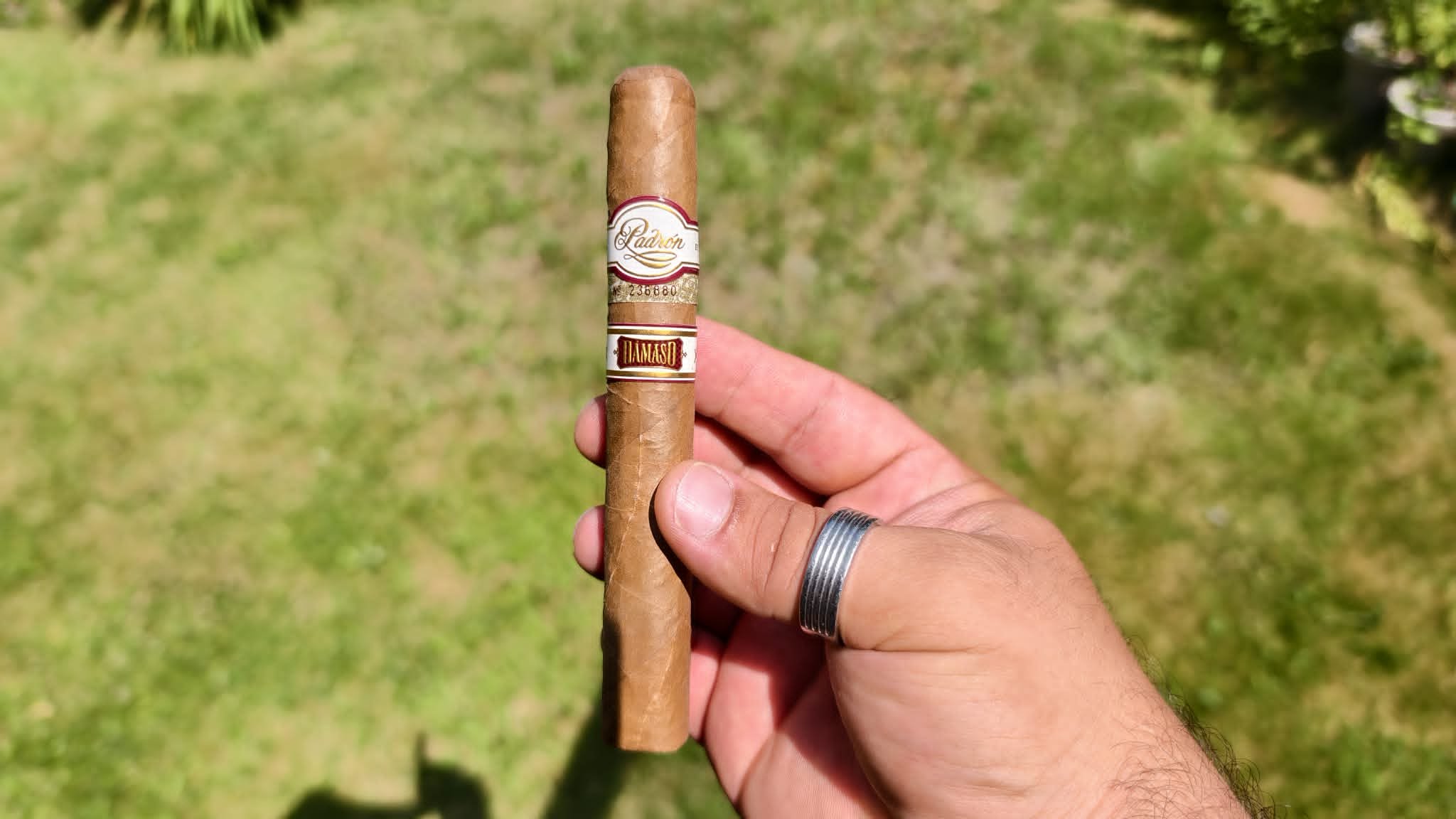 Padron Damaso No8