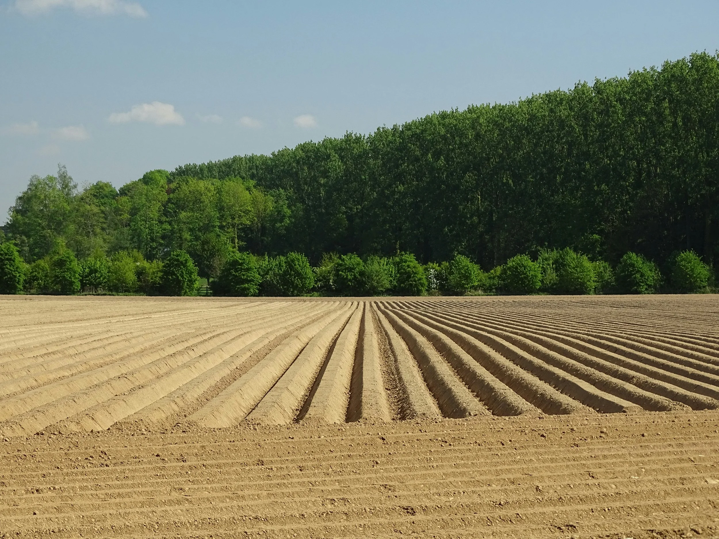 Terroir: The Invisible Ingredient Behind Every Great Cigar . Final III Part