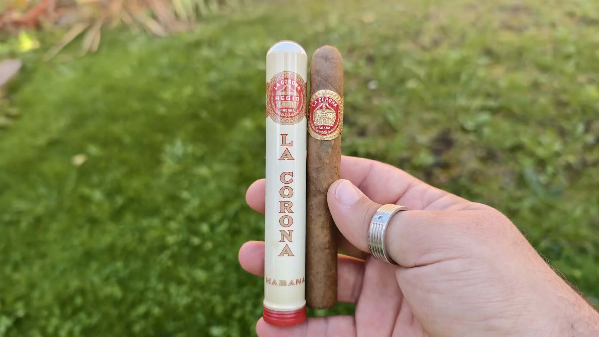 La Corona Regios Tubos