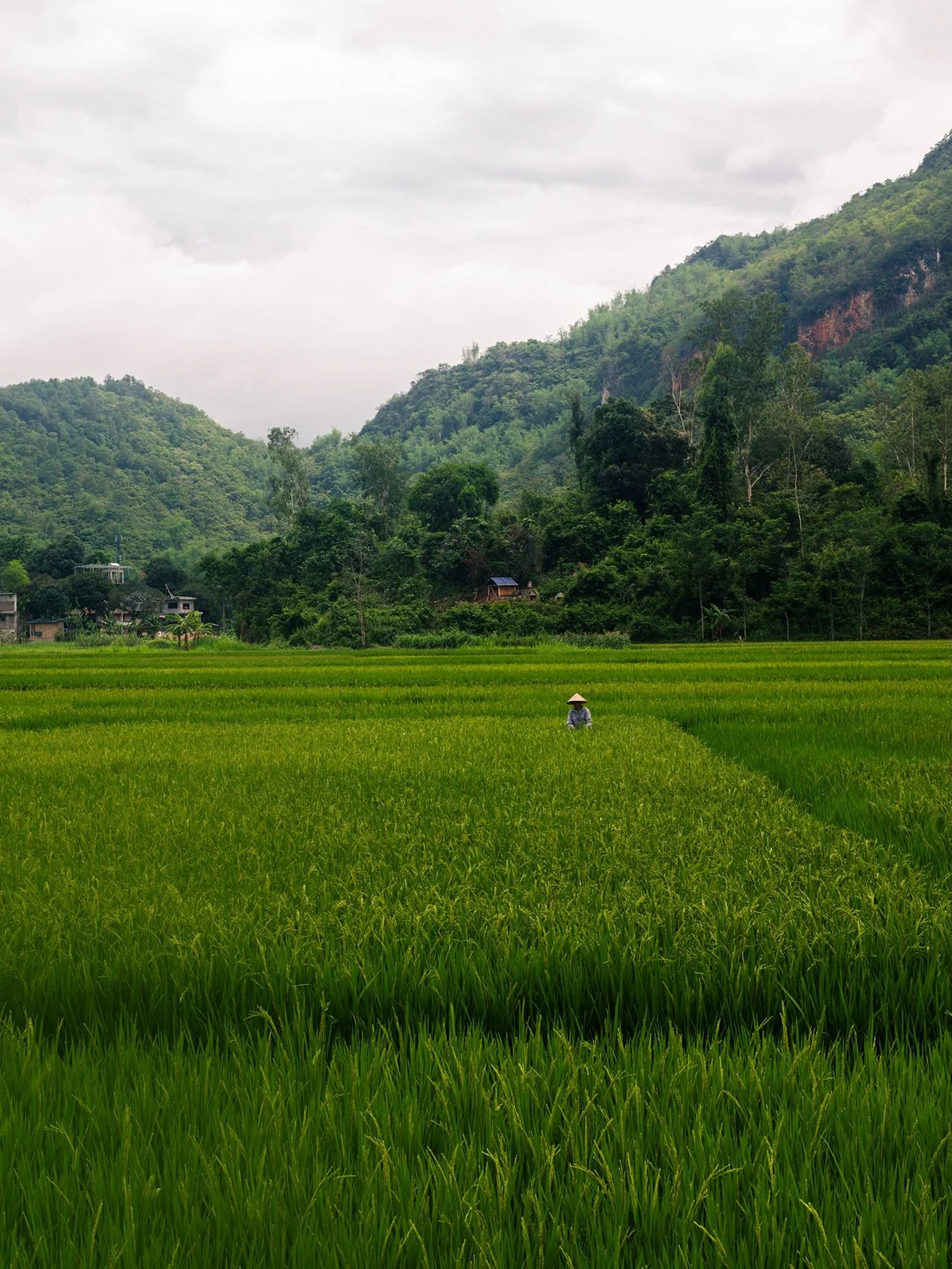 📍Mai Chau
また今更ベトナムでごめんなさい。
唯一ハニームーンらしかかったマイチャウ(あとは結構ハードスケジュールな観光だったので😅)。田んぼと山に囲まれた田舎町でのんびり😌

ただし、ハノイからタクって4時間！なかなか遠かったです。プールより温泉が欲しかった&hellip;
