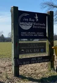 Jug Bay Wetland Sanctuary 