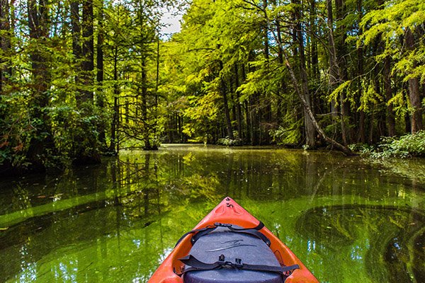 Trap Pond State Park 
