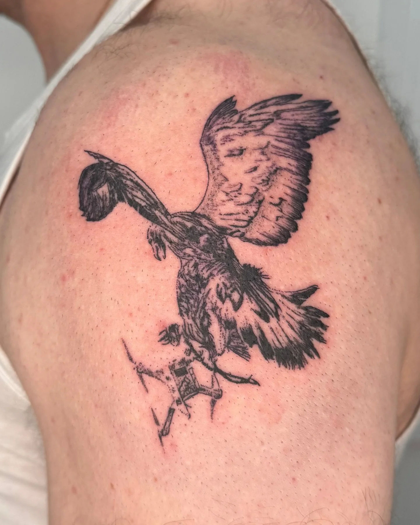 Training our instincts. Custom for the man @jake_hanrahan - thank you 🦅