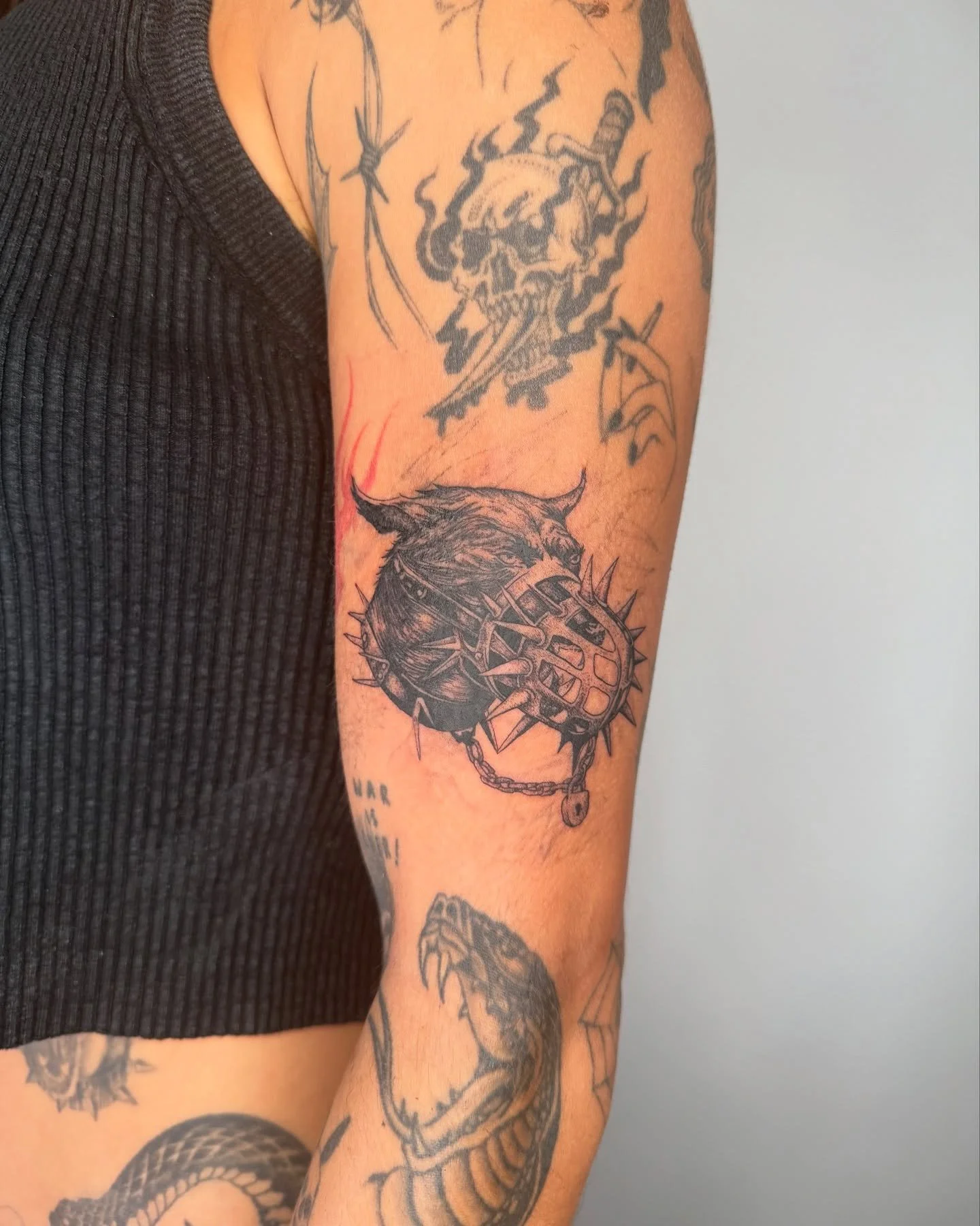 Zeppelin appreciation post and portrait of the demon spider, for her human keeper @natashaaustrich - I love my life I love my wife I love my dog