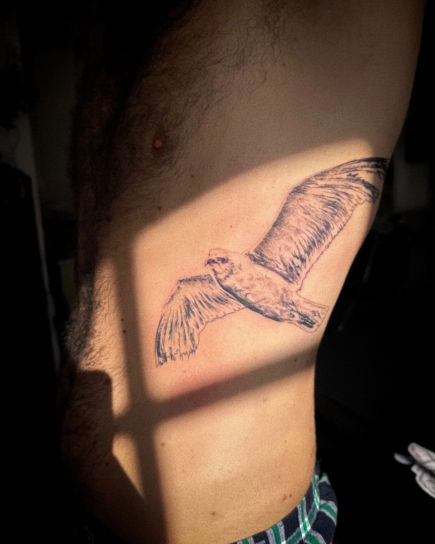 He was not bone and feather - but a perfect idea of freedom and flight, limited by nothing at all. Thanks @max1000000_ I love you.

Made @blue.velvet.london 🪟🌆