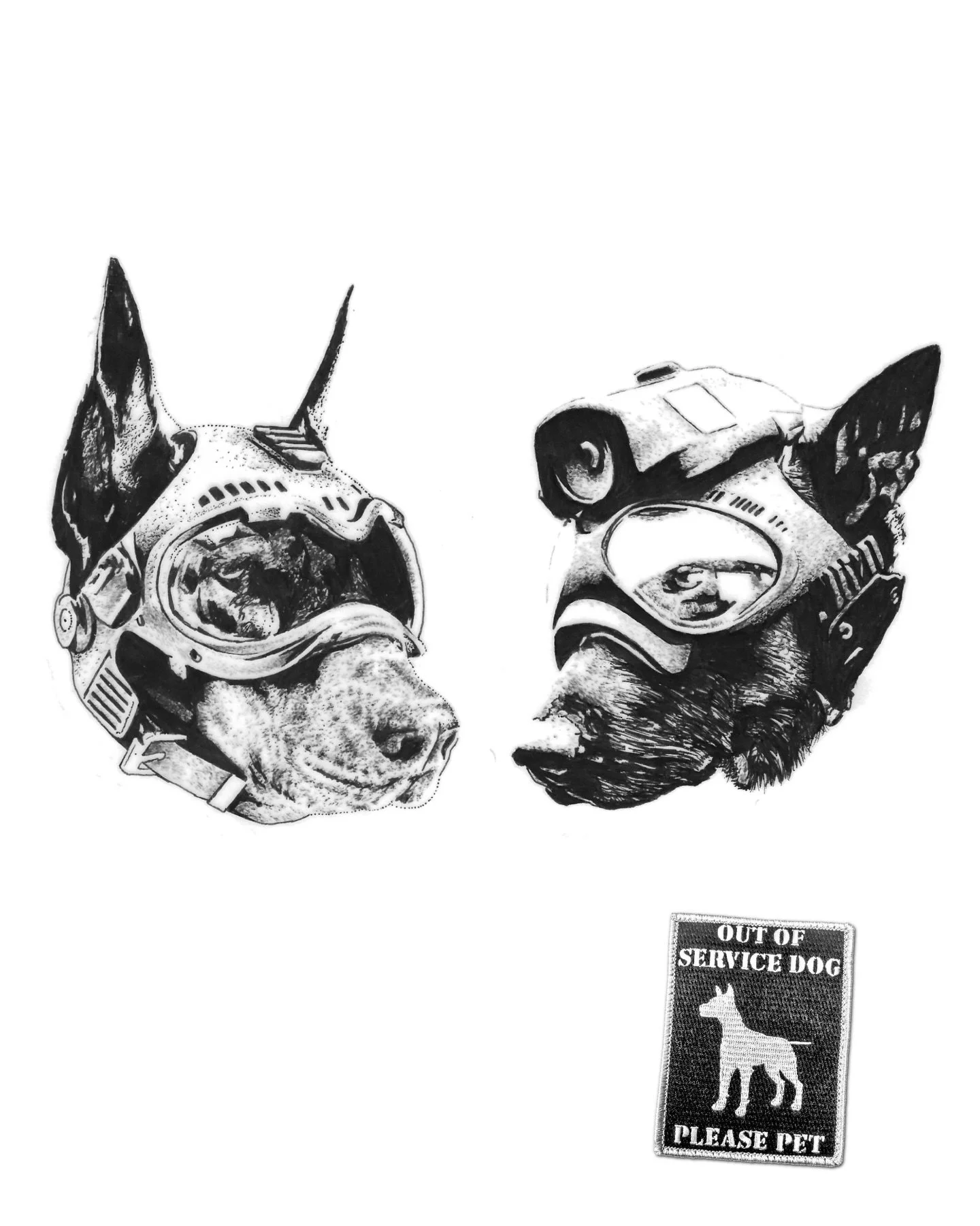For thousands of years, dogs have accompanied us through conflict. From the mastiff war dogs of antiquity, to the detection and rescue dogs used in modern warfare. We have bred and trained them to guard, track, detect, protect, and endure conditions 