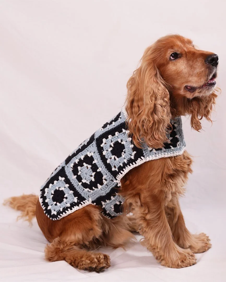Our two-tone dog vest in Blue Eggshell and Black 🖤 These pups all wear a size M.
Available on the website soon ⏳

Gilet bicolore en Blue Eggshell et Noir, il sera bient&ocirc;t disponible sur le site 🤍

Quelles couleurs aimeriez vous voire pour ce 