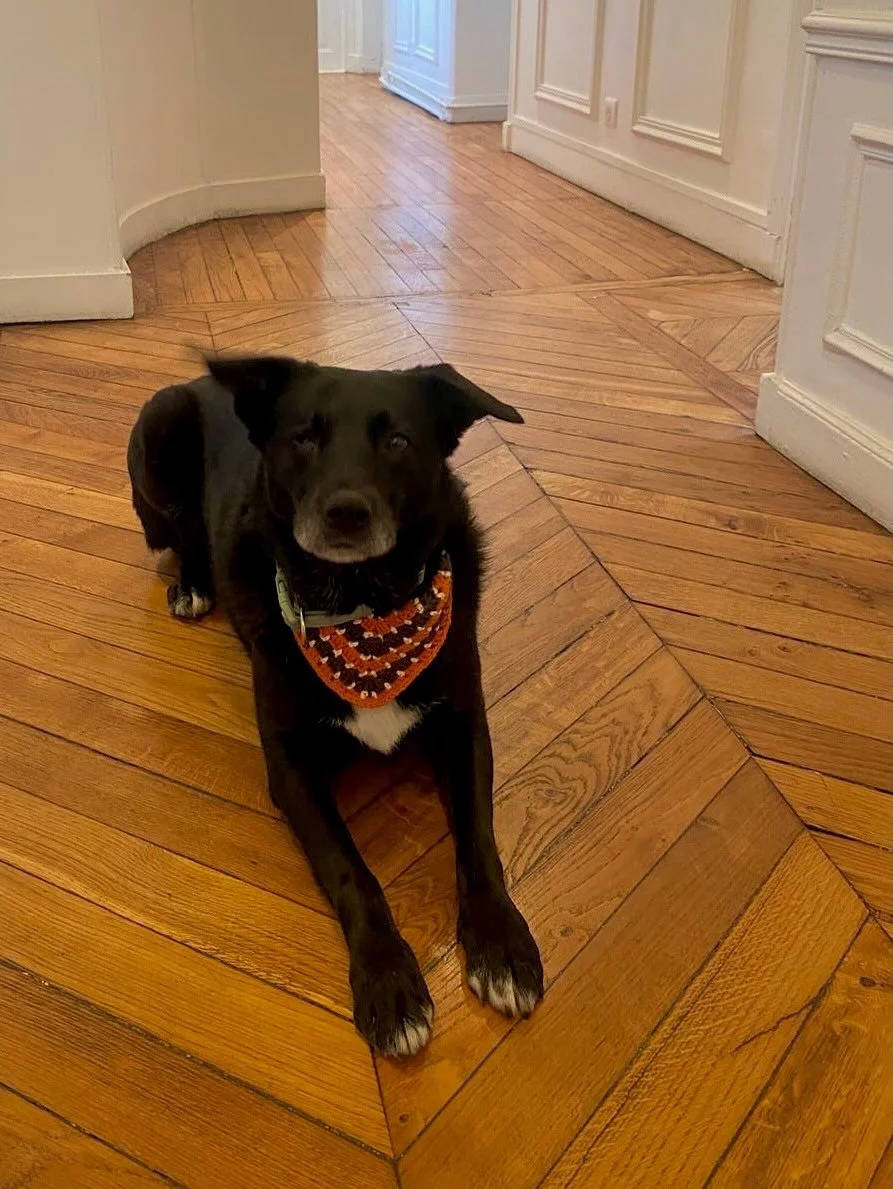Sweet Bonnie is looking ever so autumnal in her custom bandana! This Parisian girlie knows how to dress chic 🍂🍁