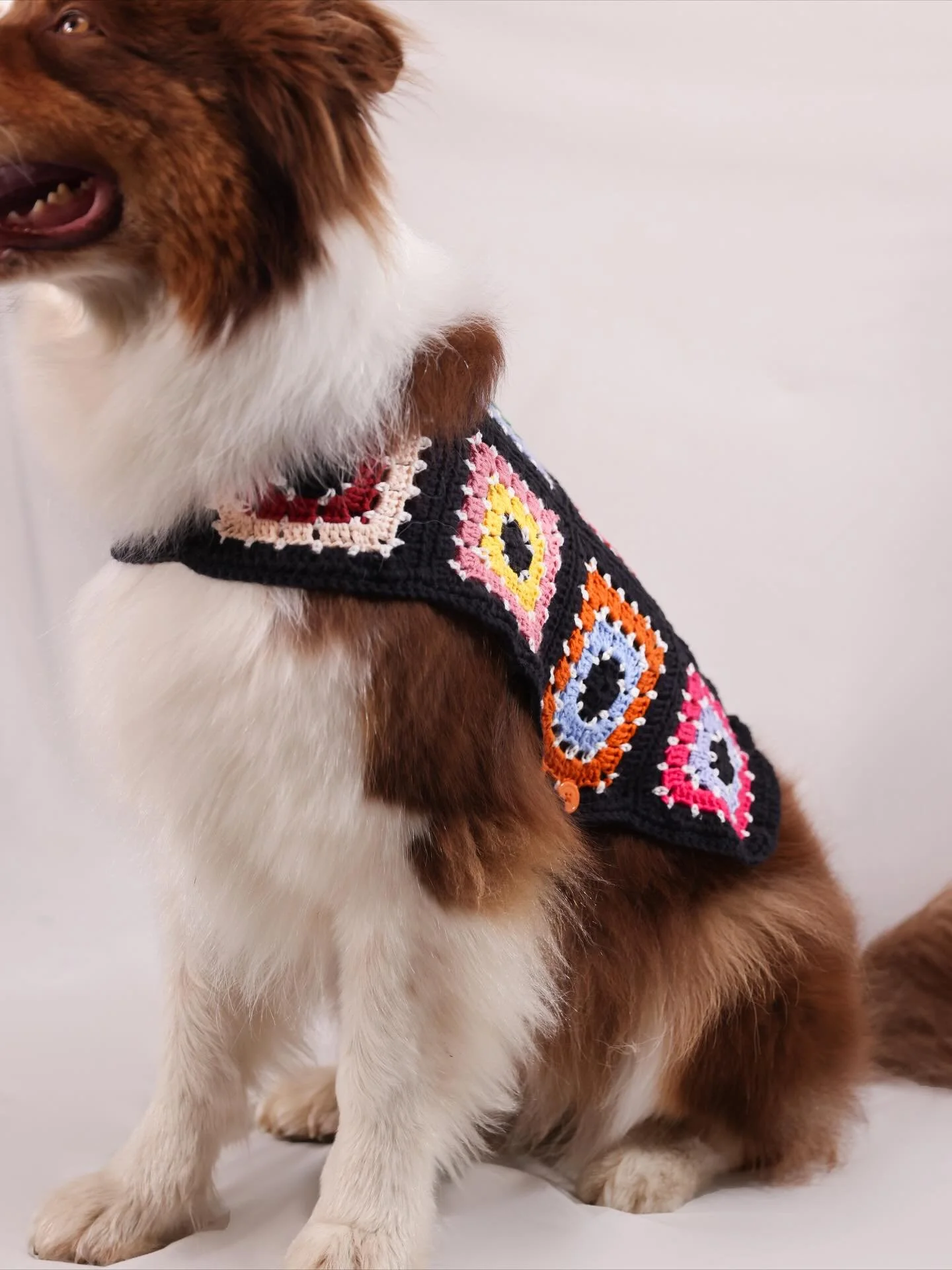 Autumn is in the air, but these pups are already ahead of the trend. Two adjustable sizes available to keep your companion snug. Shop The Woo via the link in bio 🐾

L&rsquo;automne s&rsquo;installe, et ces toutous sont d&eacute;j&agrave; pr&ecirc;ts