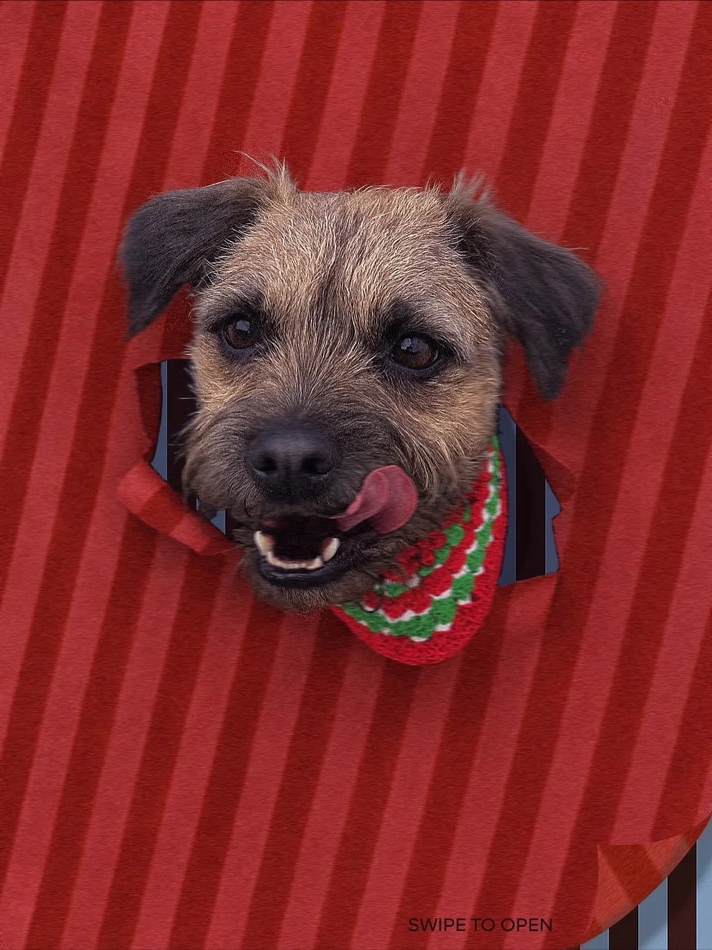 Santa Paws is Coming to town! 🎄

Cette ann&eacute;e, j&rsquo;ai l&rsquo;honneur de participer &agrave; un march&eacute; de No&euml;l 100% canin &agrave; Eysines (Bordeaux) avec @grogne.store !

Le Grogne Winter Fest ❄️ se d&eacute;roulera le 29 et 3