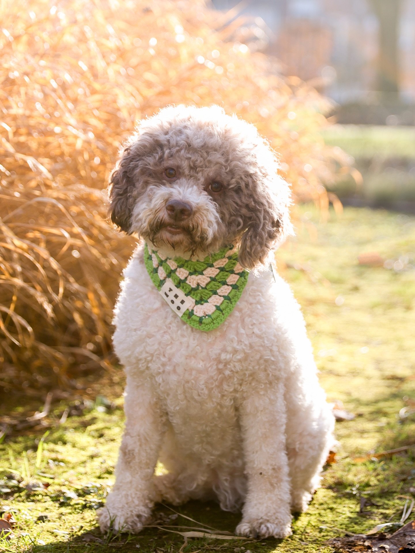 J&rsquo;esp&egrave;re que vous avez pass&eacute; de belles f&ecirc;tes ✨

Ce petit temps de pause me permet de repenser &agrave; l&rsquo;ann&eacute;e pass&eacute;e et de r&eacute;fl&eacute;chir tranquillement &agrave; la suite.

Ce que j&rsquo;esp&eg