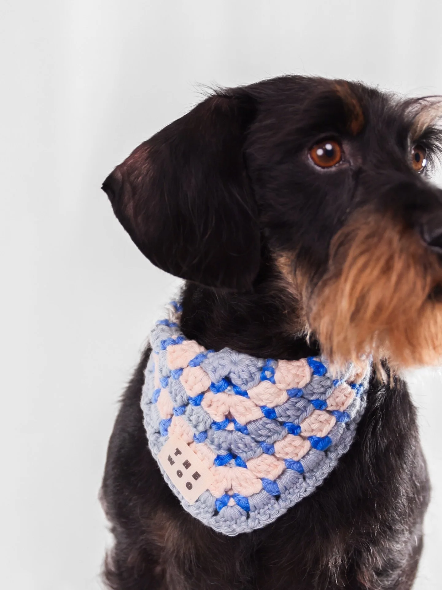 Je pr&eacute;pare un nouveau stock avec de nouveaux designs de gilets ! 💌🐾
J&rsquo;ai trop h&acirc;te de vous montrer tout &ccedil;a mais en attendant je vous laisse sur cette belle photo de K&eacute;to photographi&eacute; par @lisa.ritaine 🤍

#th