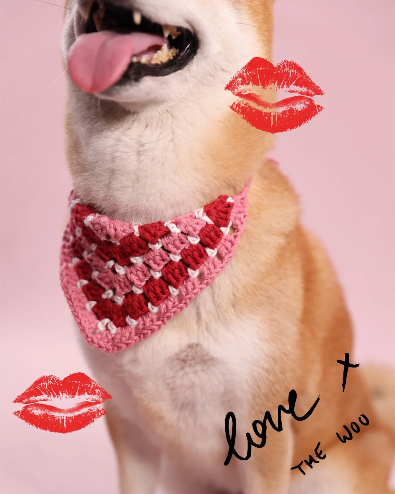 Skip the boxes of chocolates (which they really shouldn&rsquo;t eat), a handmade gift is better than a treat !
Give the love that&rsquo;s earned each day, in every way that&rsquo;s true. Treat your dog this Valentine&rsquo;s, for they&rsquo;ve always