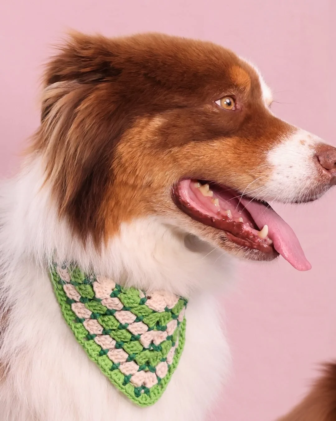 Est-ce que c&rsquo;est vraiement le d&eacute;but du printemps qui pointe son nez ? Probablement pas. Est-ce qu&rsquo;on va faire comme si ? Absolument. 🌱 

@lisa.ritaine.photographe