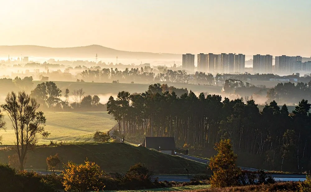 Urban and rural regeneration. Urban planning. Policy development. Sustainability.