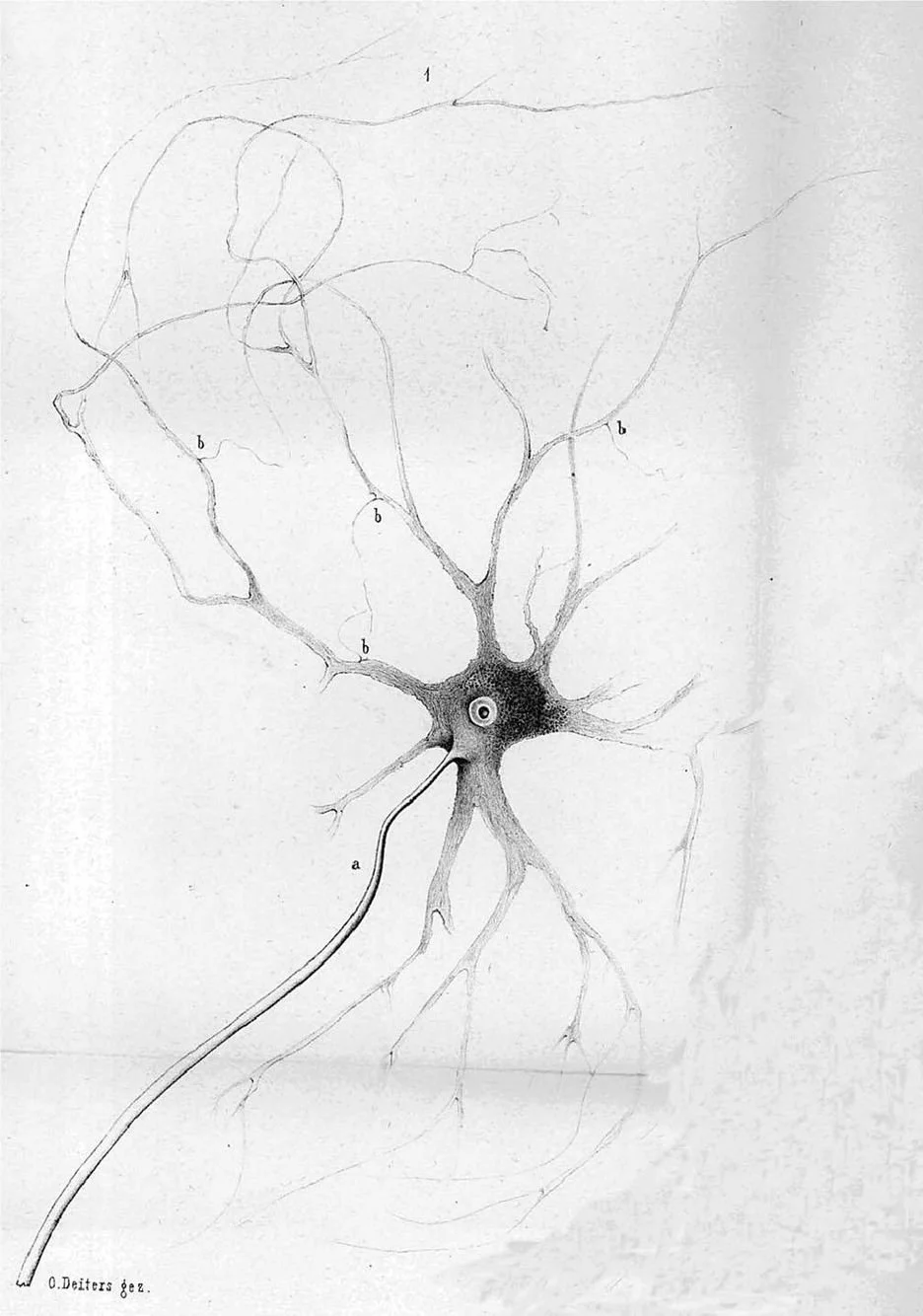 Episode 1: Embrace Uncertainty To Reduce Your Pain