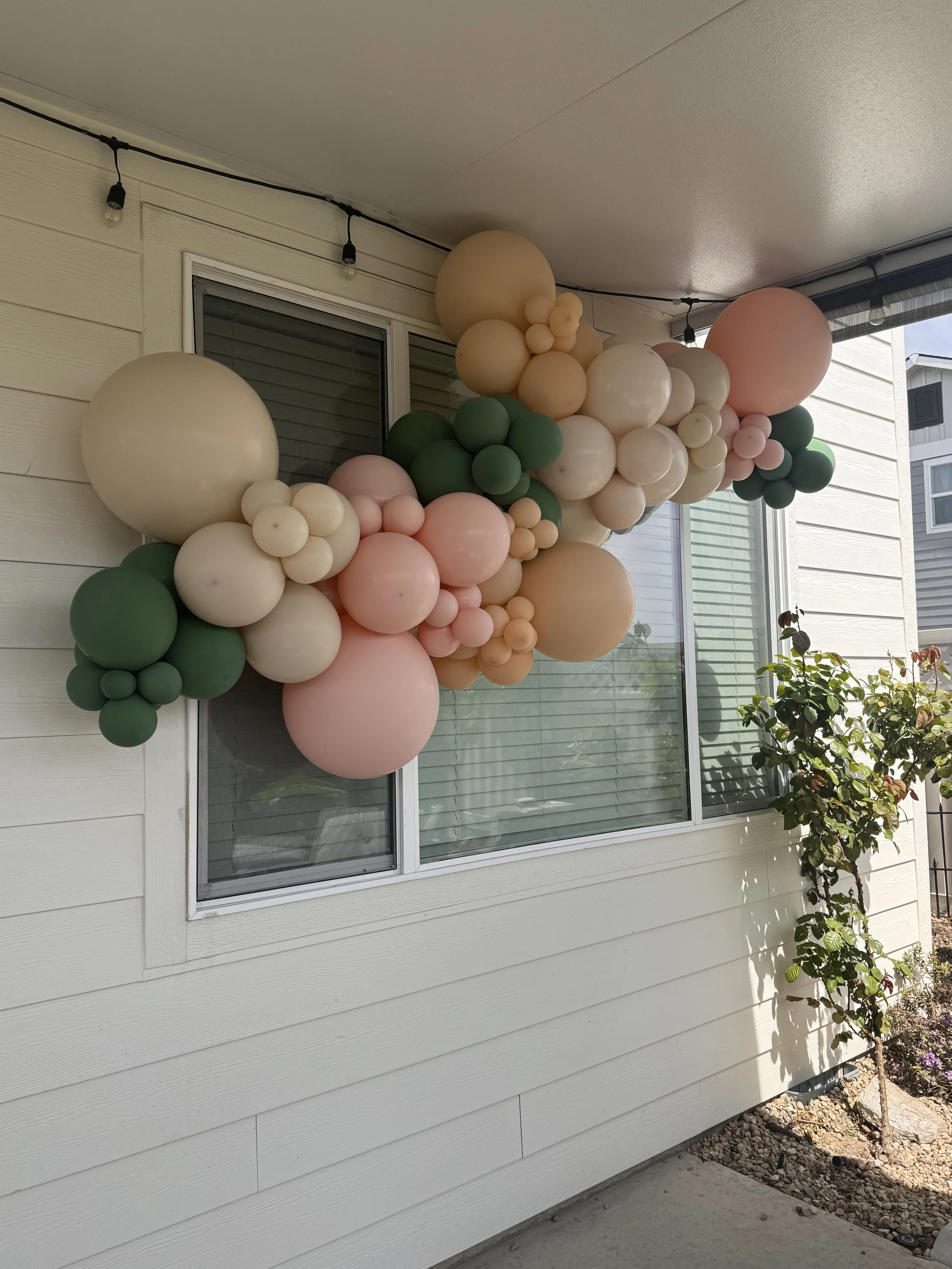 Exterior of a house with a large window decorated with pastel-colored balloons in shades of pink, cream, and green. The balloons form a cluster on the wall near the window. There is a small tree or shrub with green leaves growing next to the house, a