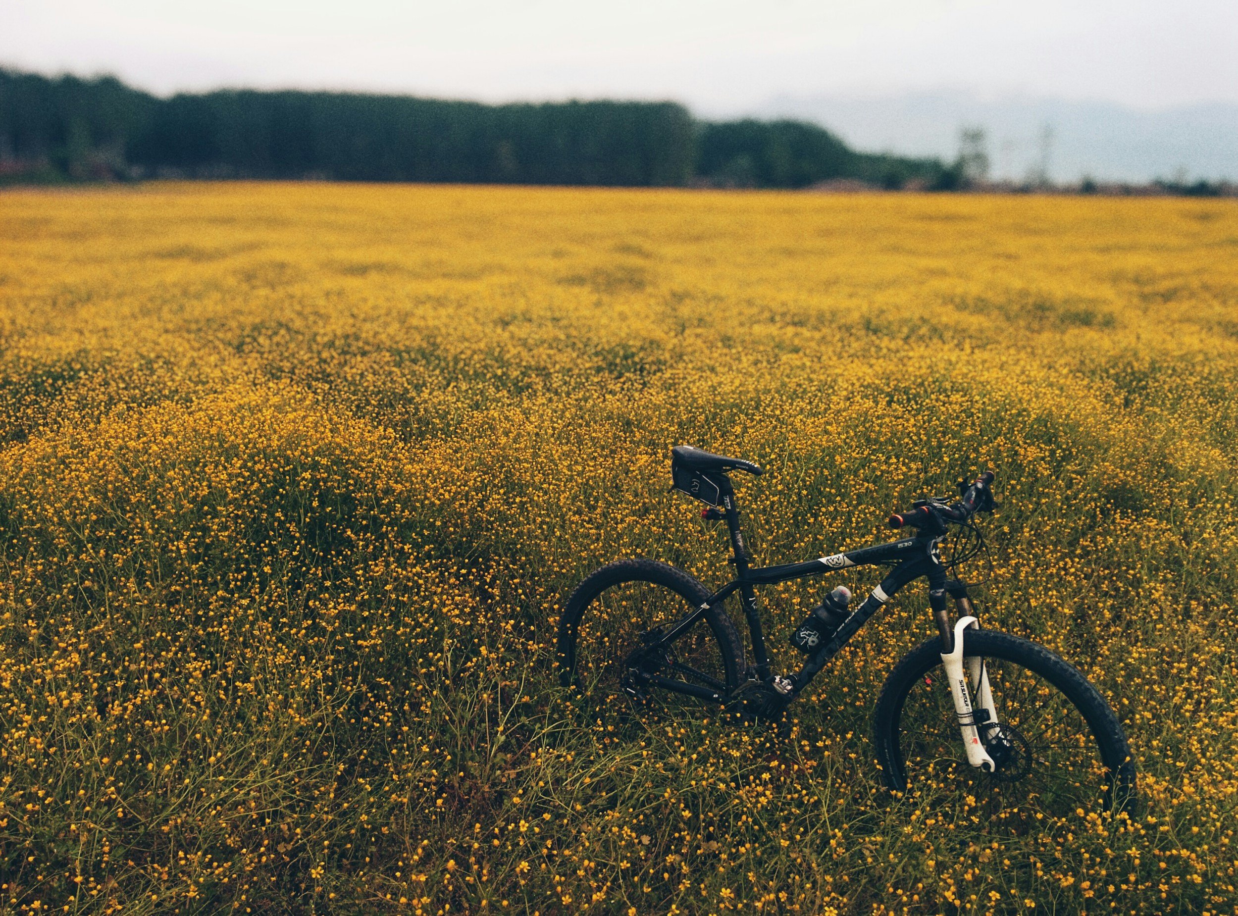 Een mountainbike in een veld met gele bloemen onder een bewolkte hemel.