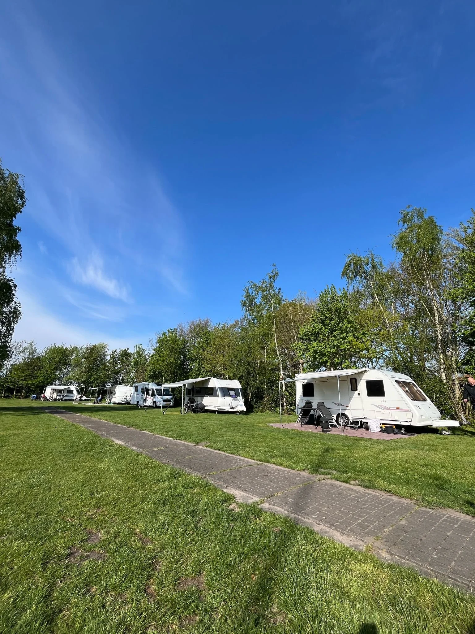 Vijf wit gekleurde caravans staan op een grasveld met een scheiding tussen het gazon en een voetpad, met bomen op de achtergrond en een heldere blauwe hemel erboven.