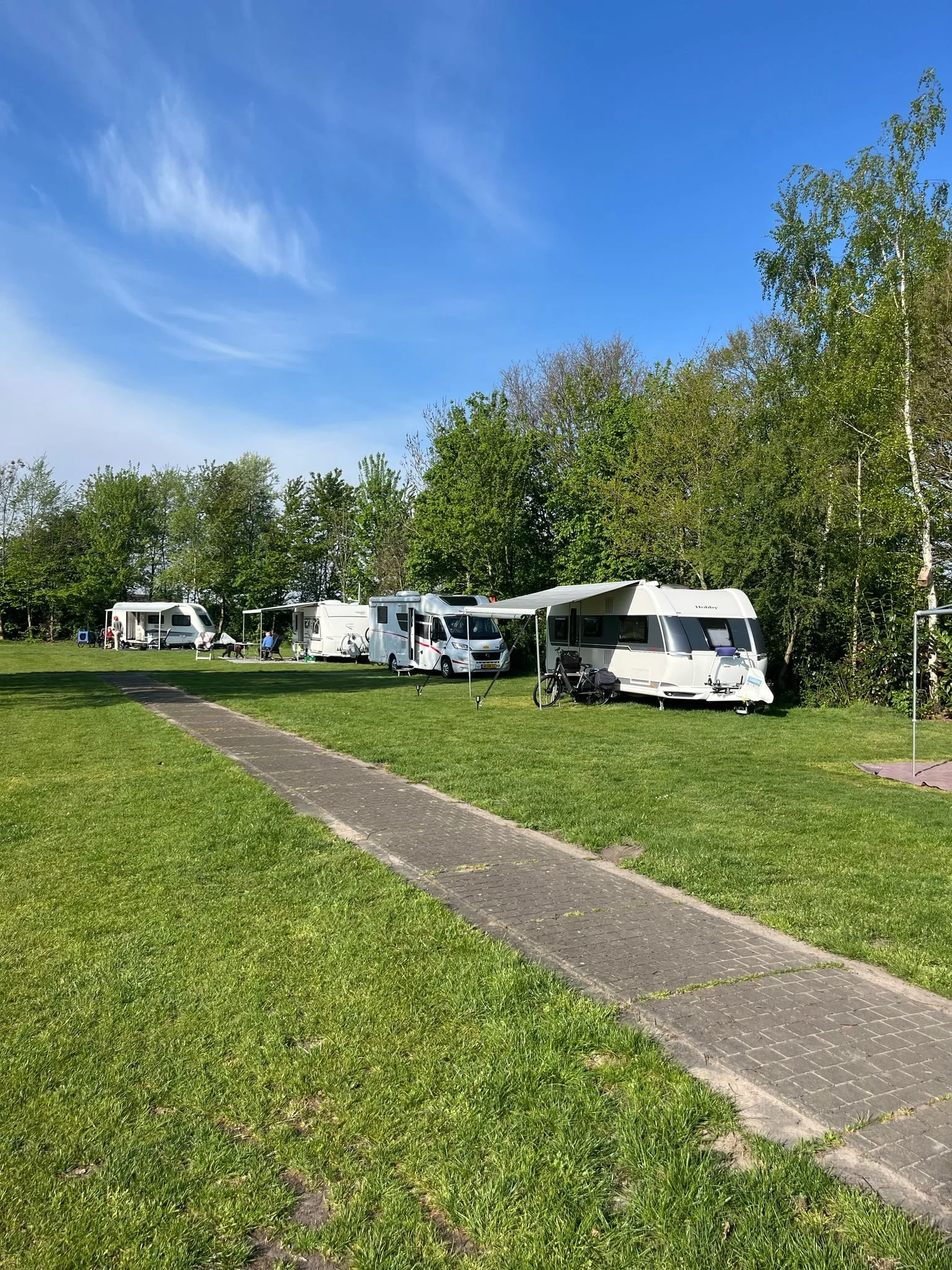 Een kampeerterrein met meerdere caravans en campers onder een heldere blauwe hemel, omgeven door groene bomen en gras, met een houten voetpad dat door het terrein loopt.
