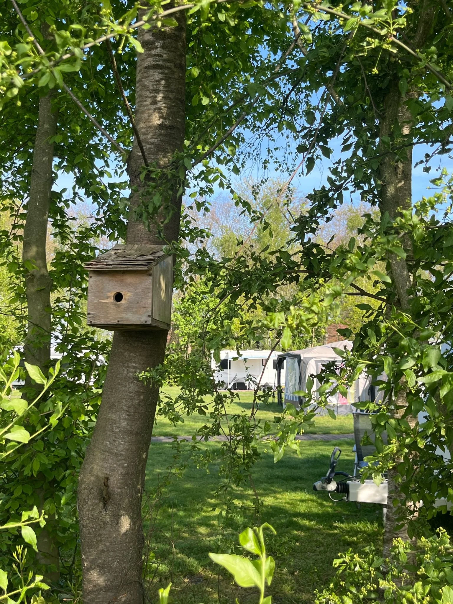 Een houten vogelhuisje hangt aan een boom, in een groene tuin met campingrekken en een caravan op de achtergrond.