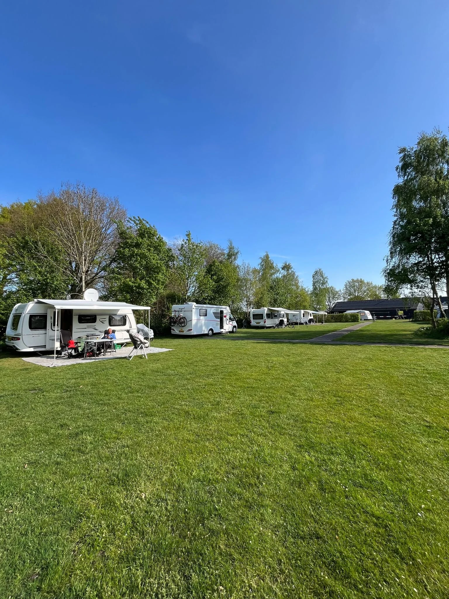 Een open veld met enkele campervans en een paar mensen die buiten zitten, omringd door bomen onder een heldere blauwe hemel.