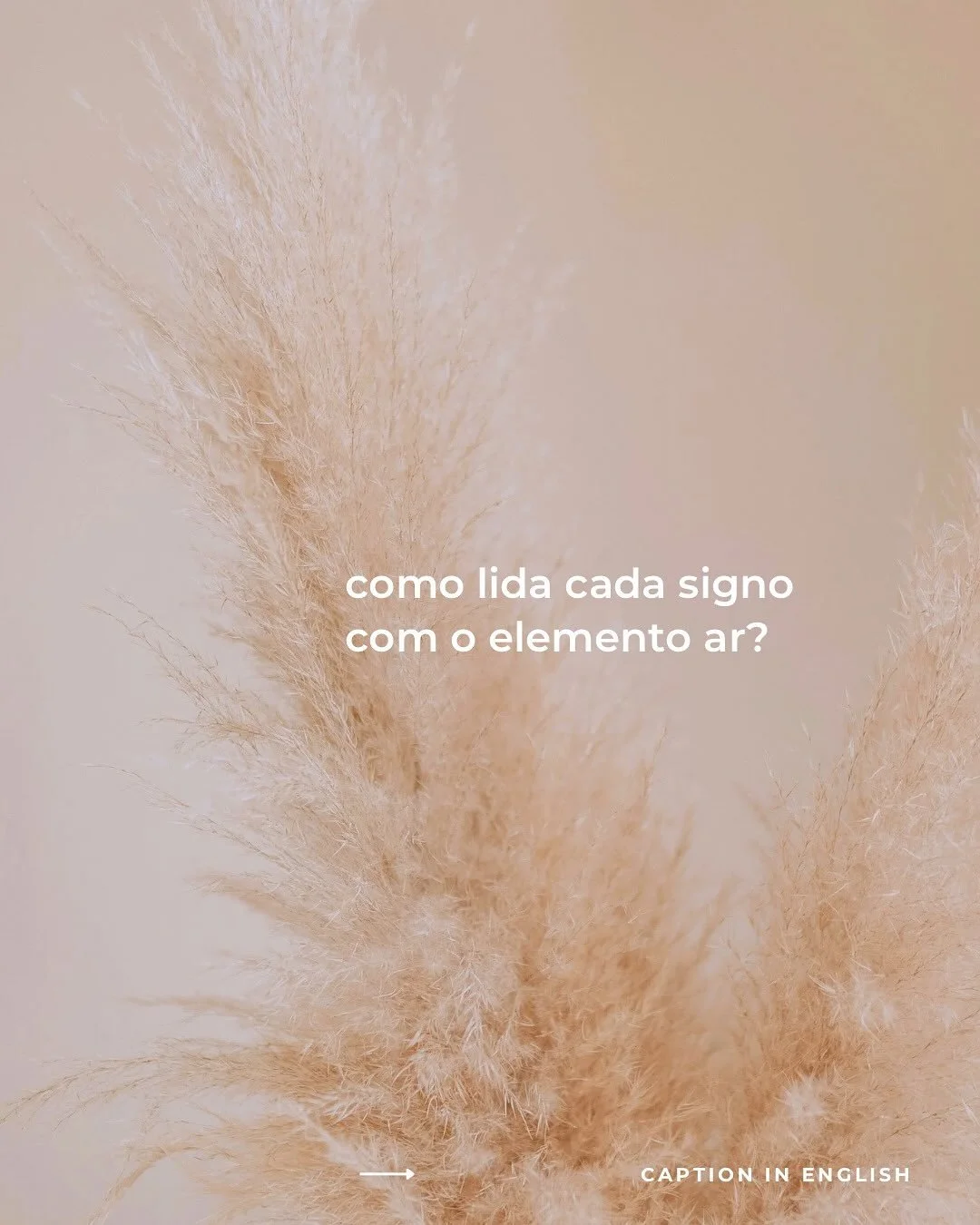 🇬🇧 how do different signs deal with the air element?

we don&rsquo;t all dance with the wind.
some let themselves be carried away, some resist, some try to hold air in their hands&hellip;
air calls for movement, curiosity, and exchange.

🌬 air &nd