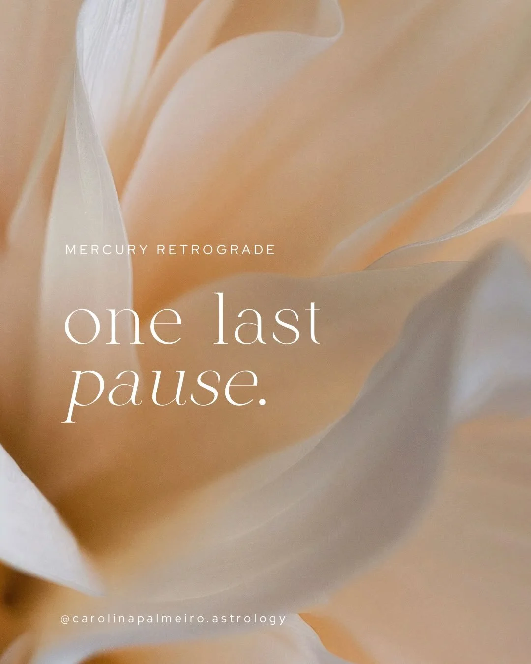 One more week of Mercury retrograde.
Can we slow down, and trust the divine timing of life? ✨