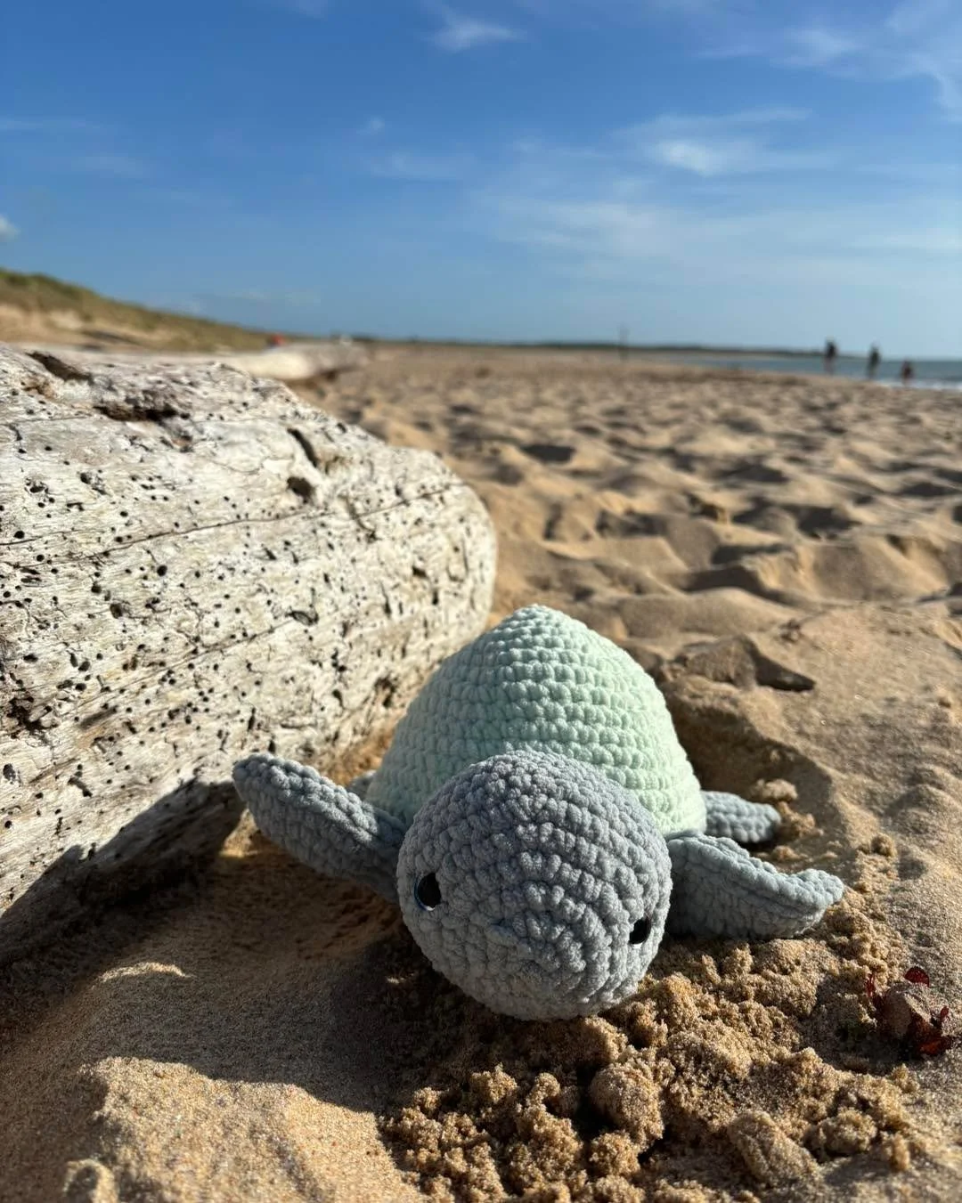 #tortuecrochet #tortuecrochet&eacute;e #tortuecrochetpassion #ricodesign #mod&egrave;le #Rico #mod&egrave;lericodesign #ricodesign #chenillove #kittortuecrochet #kitcrochet #crochet #d&eacute;butant #crochetd&eacute;butant #crochetdebutant #amigurimi