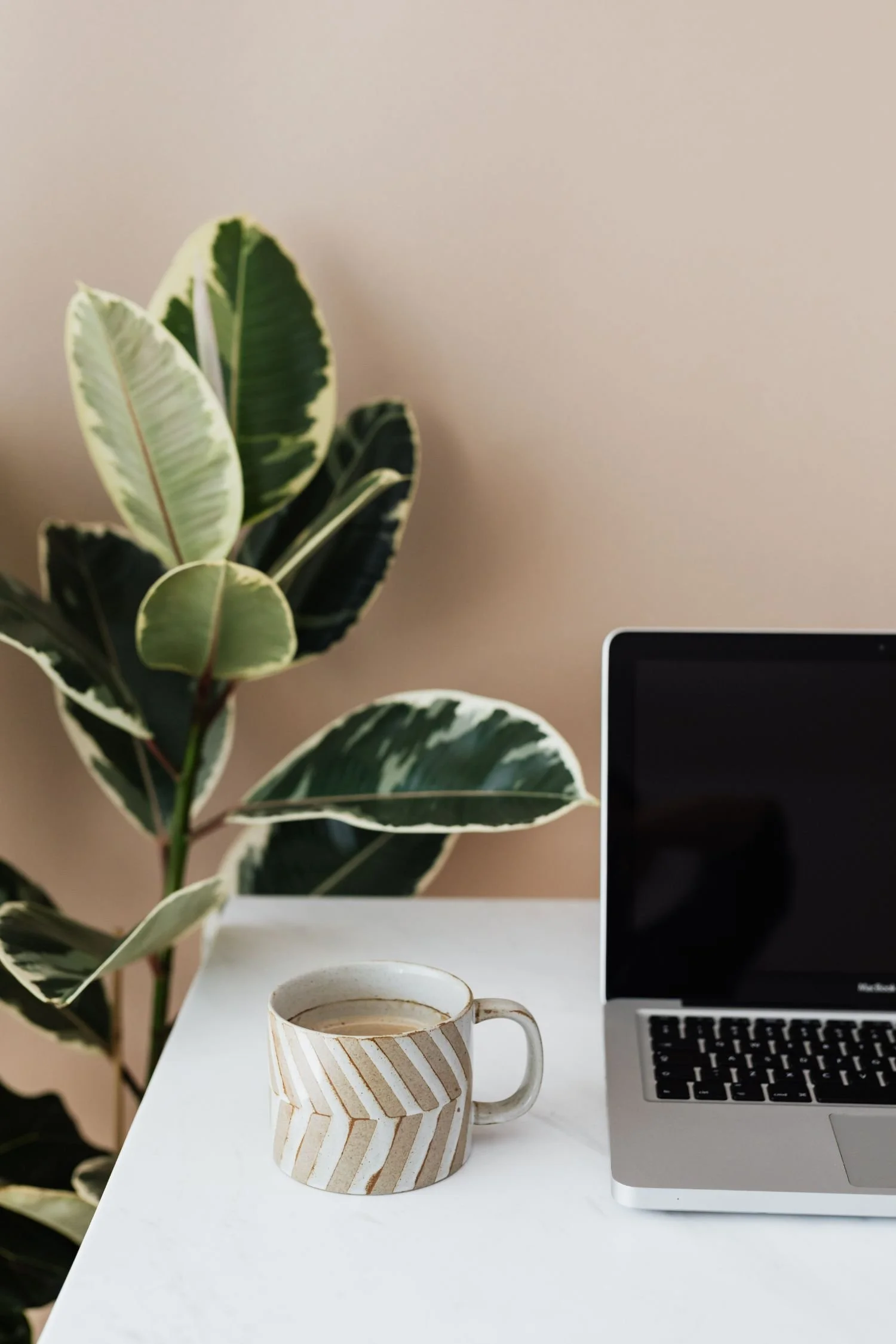 a minimal desk with a plant and laptop