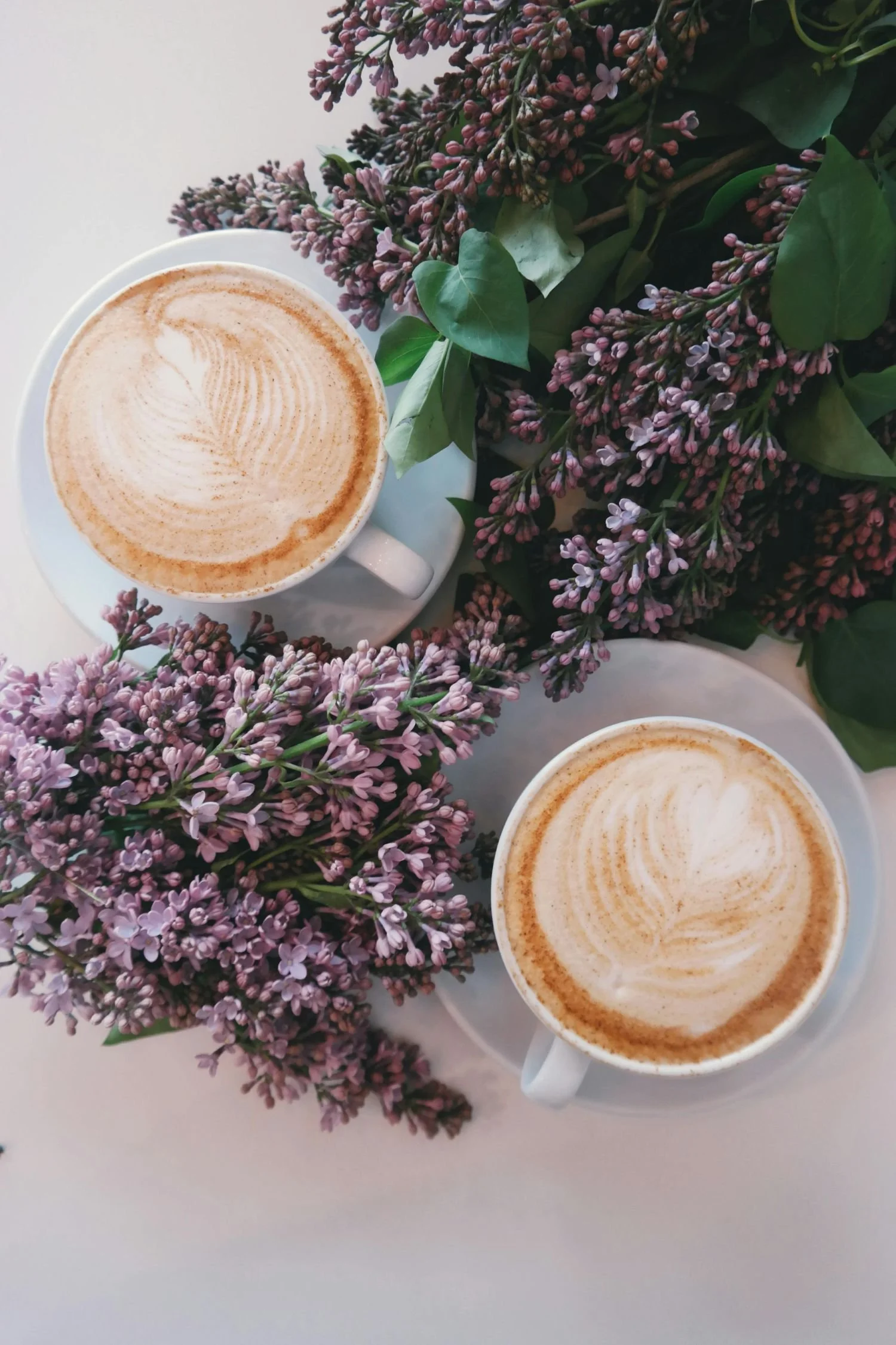 Two cups of coffee with frothy swirled milk on a white table, surrounded by purple lilac flowers and green leaves.