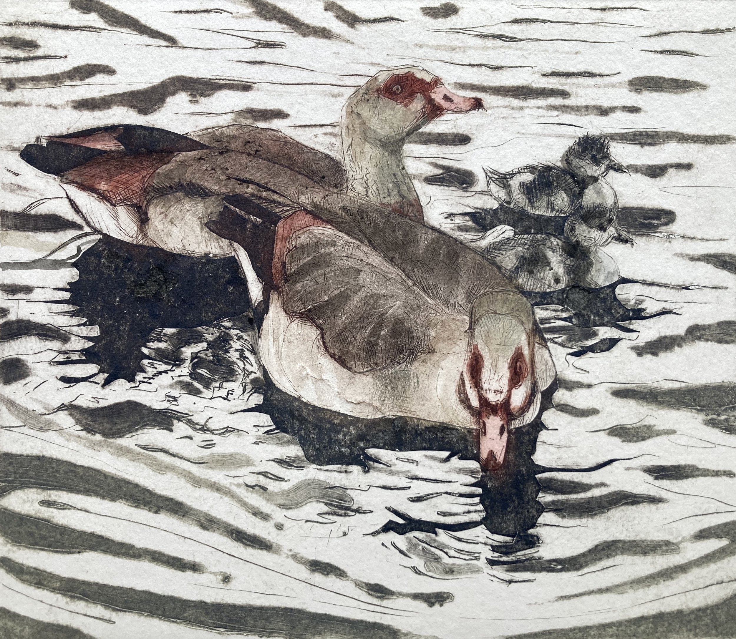 PollyHosp_AndThenThereWereTwo_2of5_UnframedMounted37x35cm_£420.jpeg