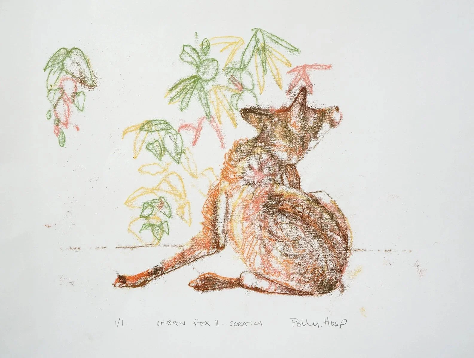 PollyHosp_UrbanFoxII_Scratch_1of1_UnframedMounted41x38cm_%C2%A3150.jpg