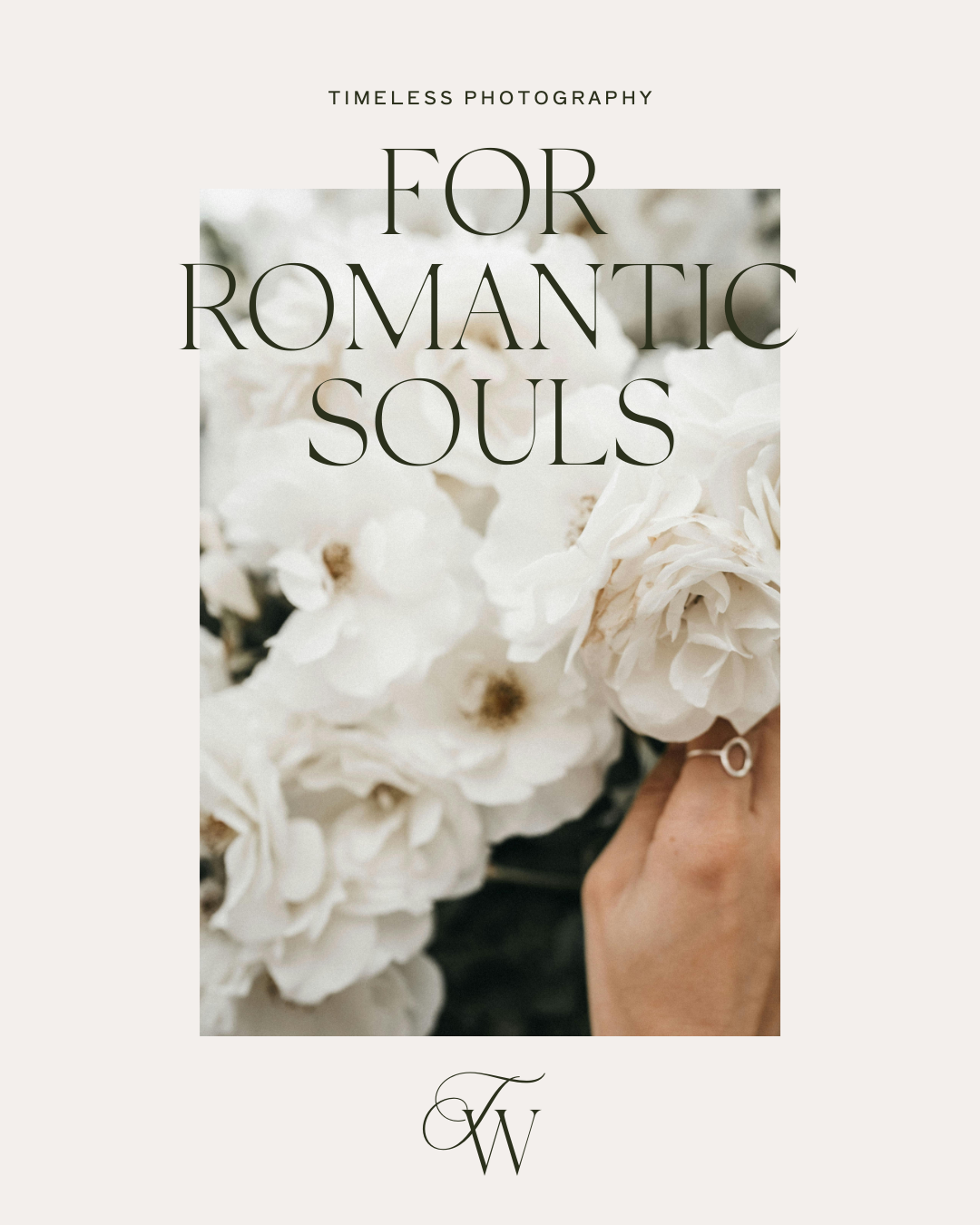 TRACY WALDROP Silk serif v2 (10).png